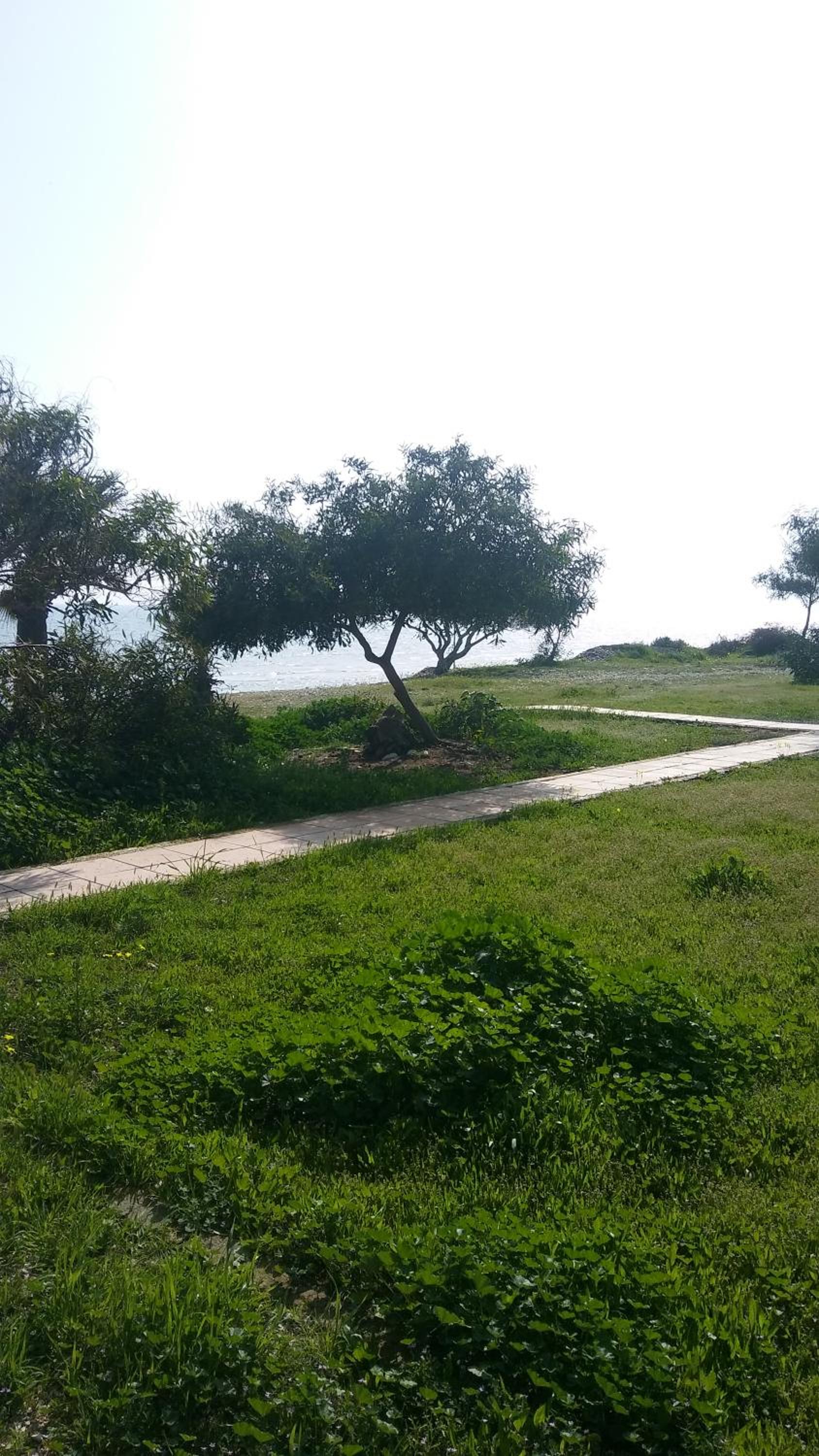 Il Mare