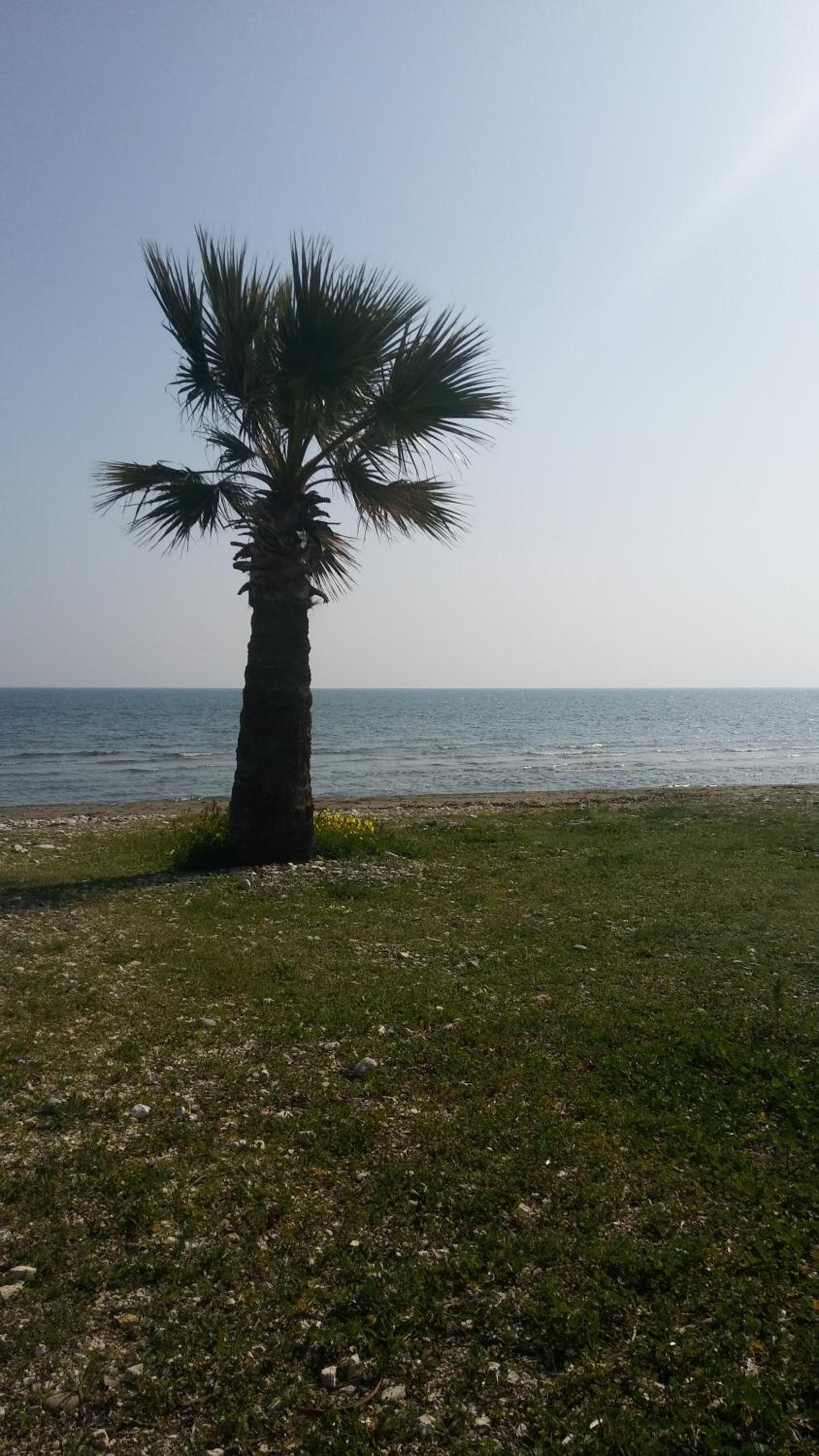 Il Mare