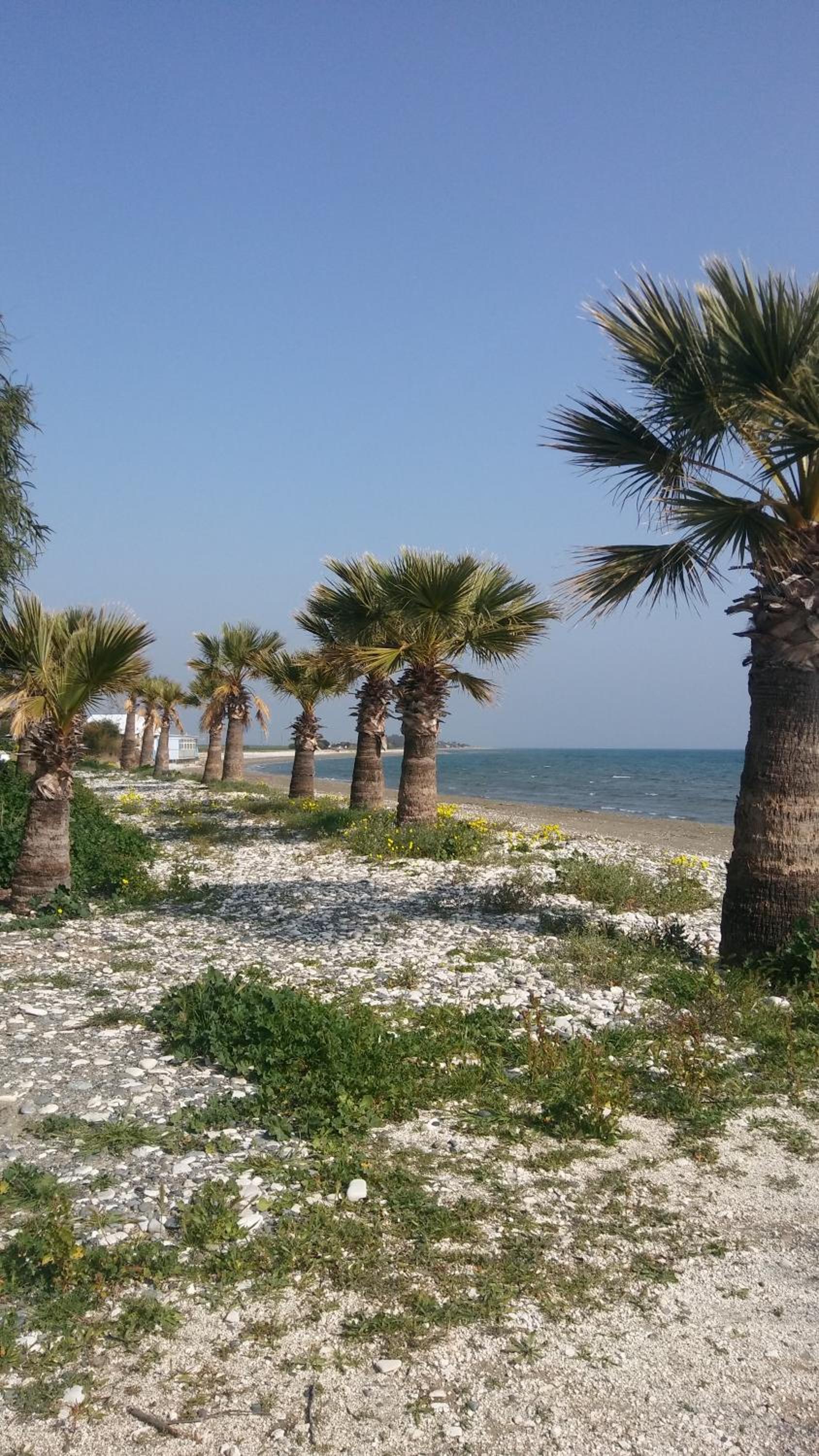 Il Mare