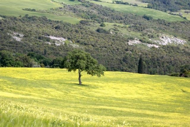 Agriturismo Pian Di Meta Vecchia view 4