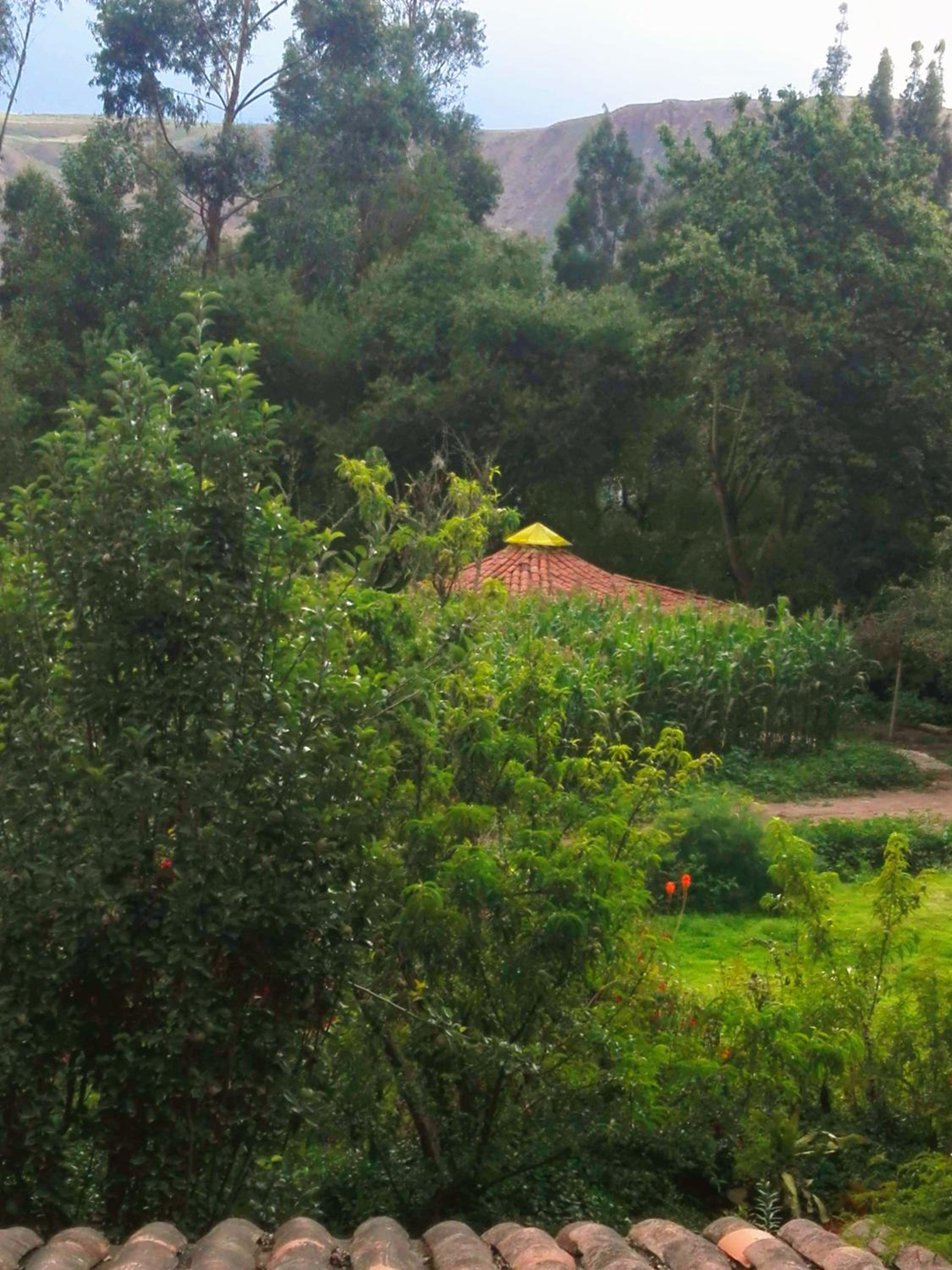 EColodge Ccatan