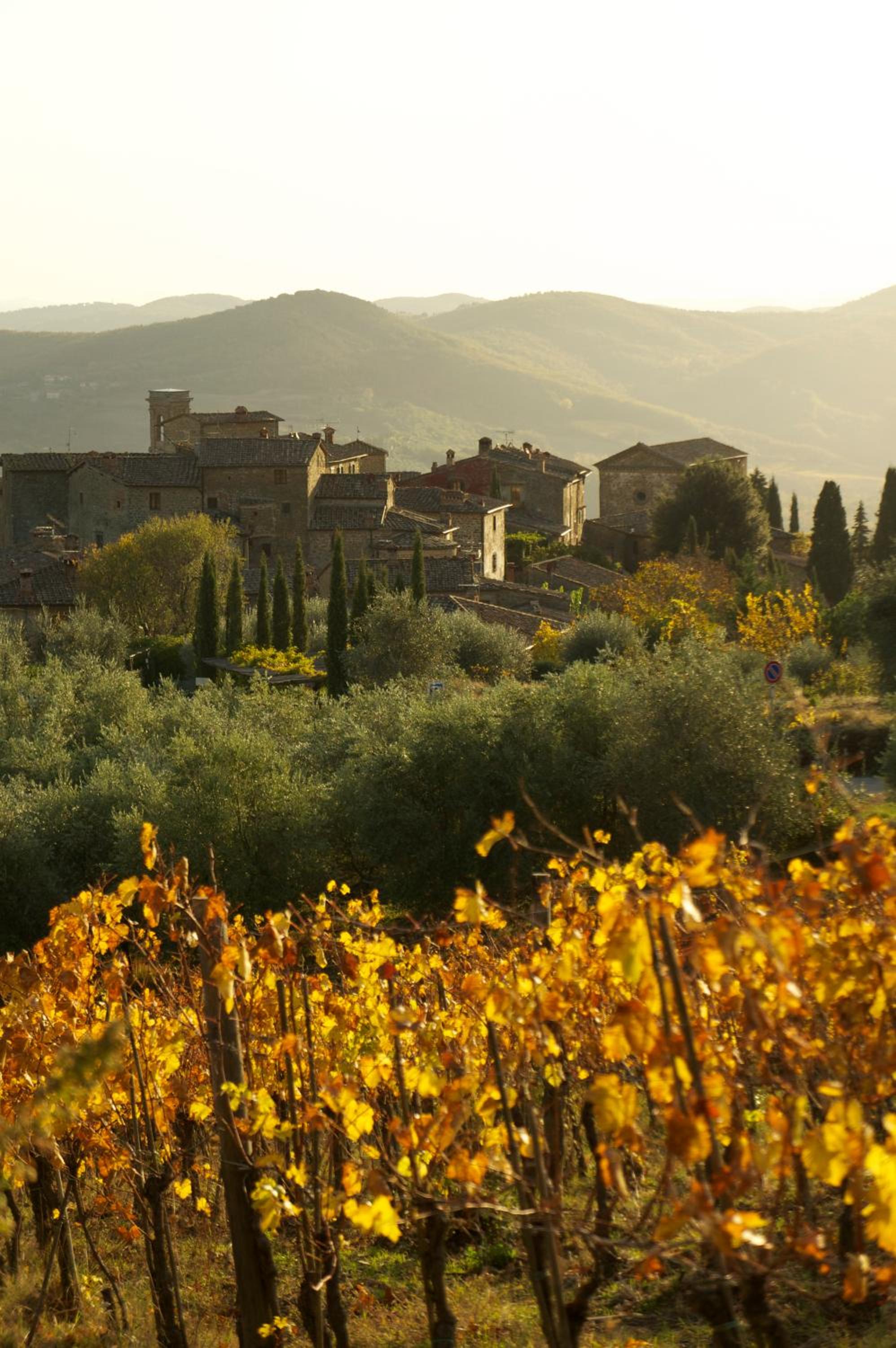 Castello di Volpaia