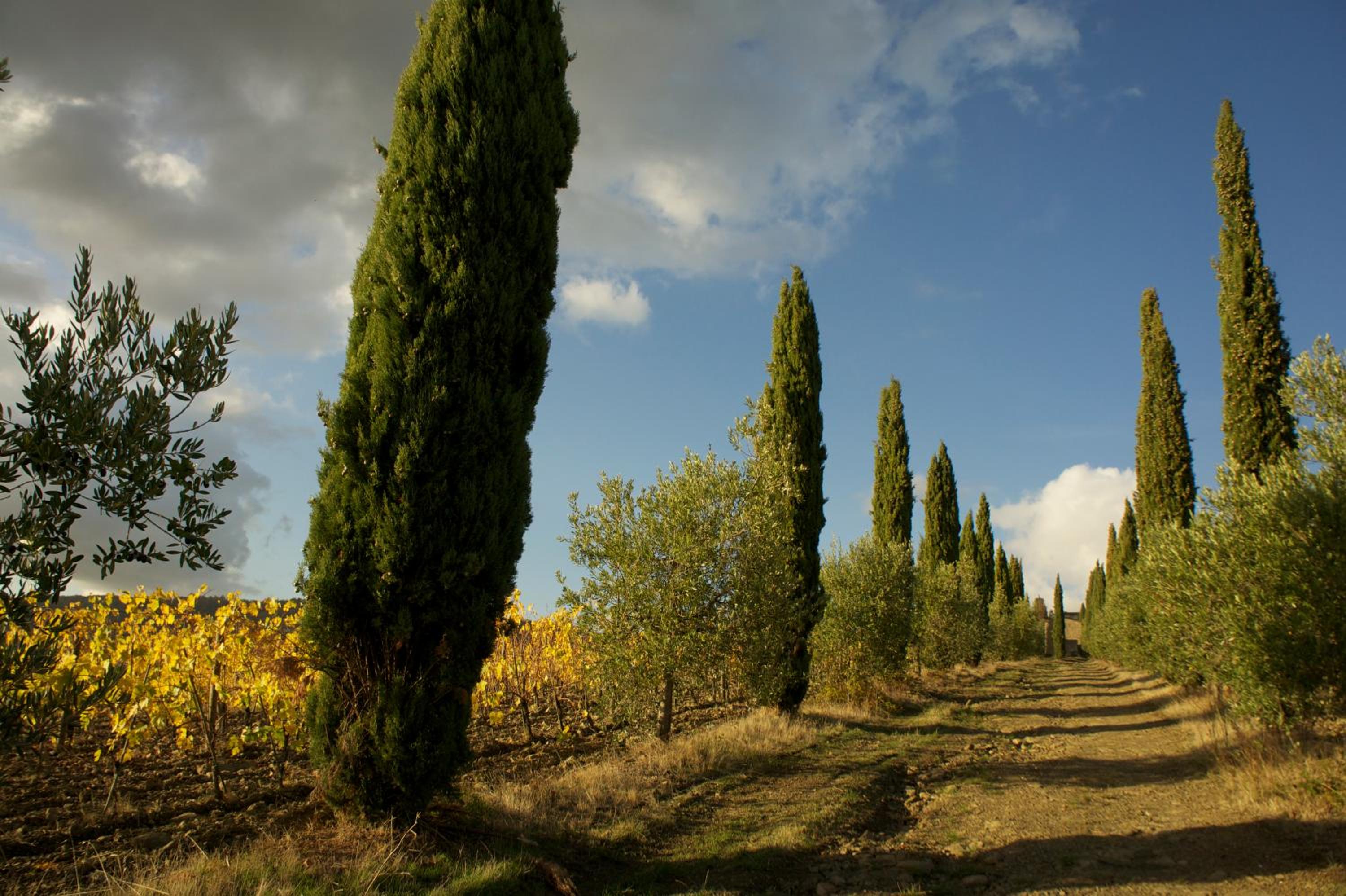 Castello di Volpaia