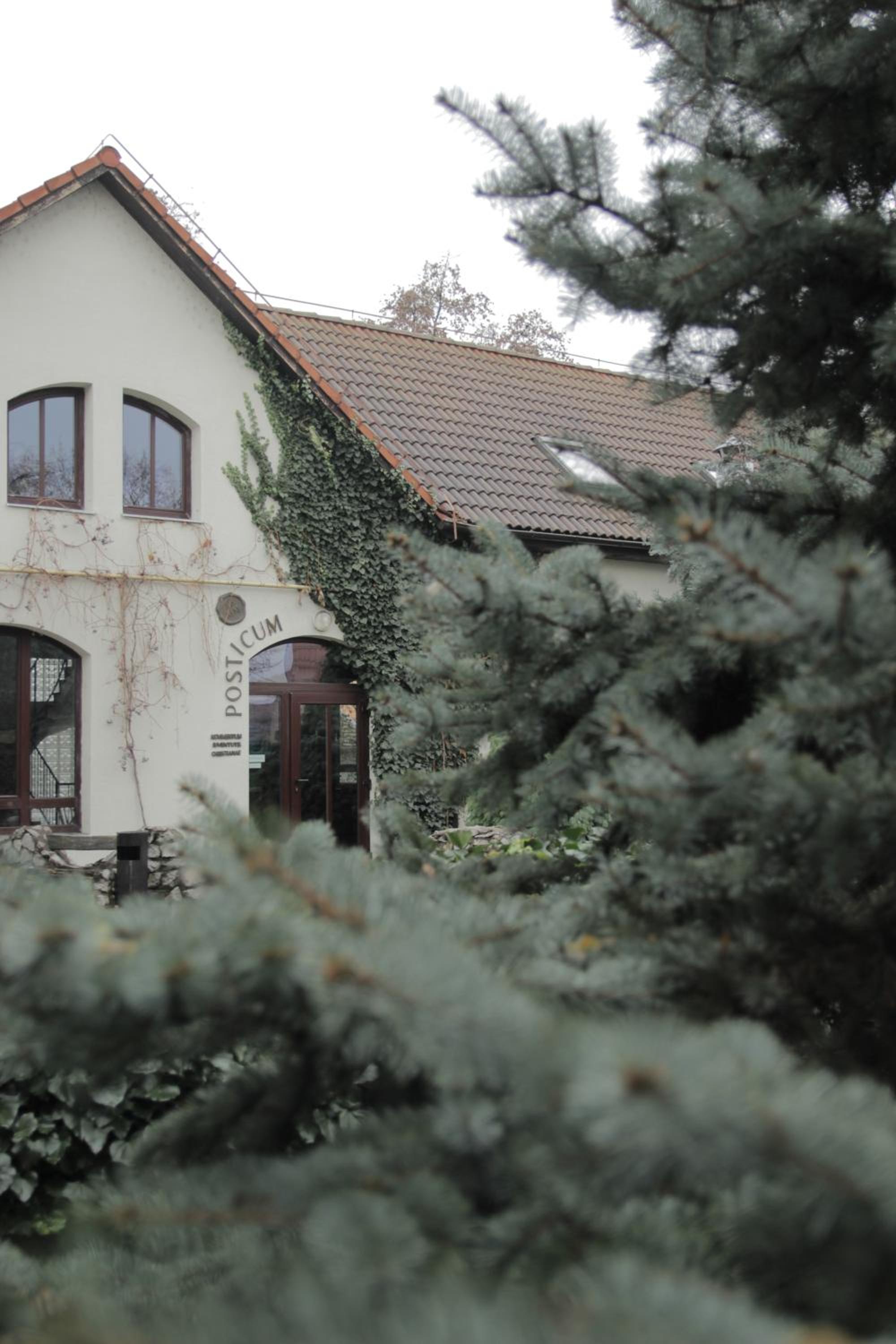 Photo 29