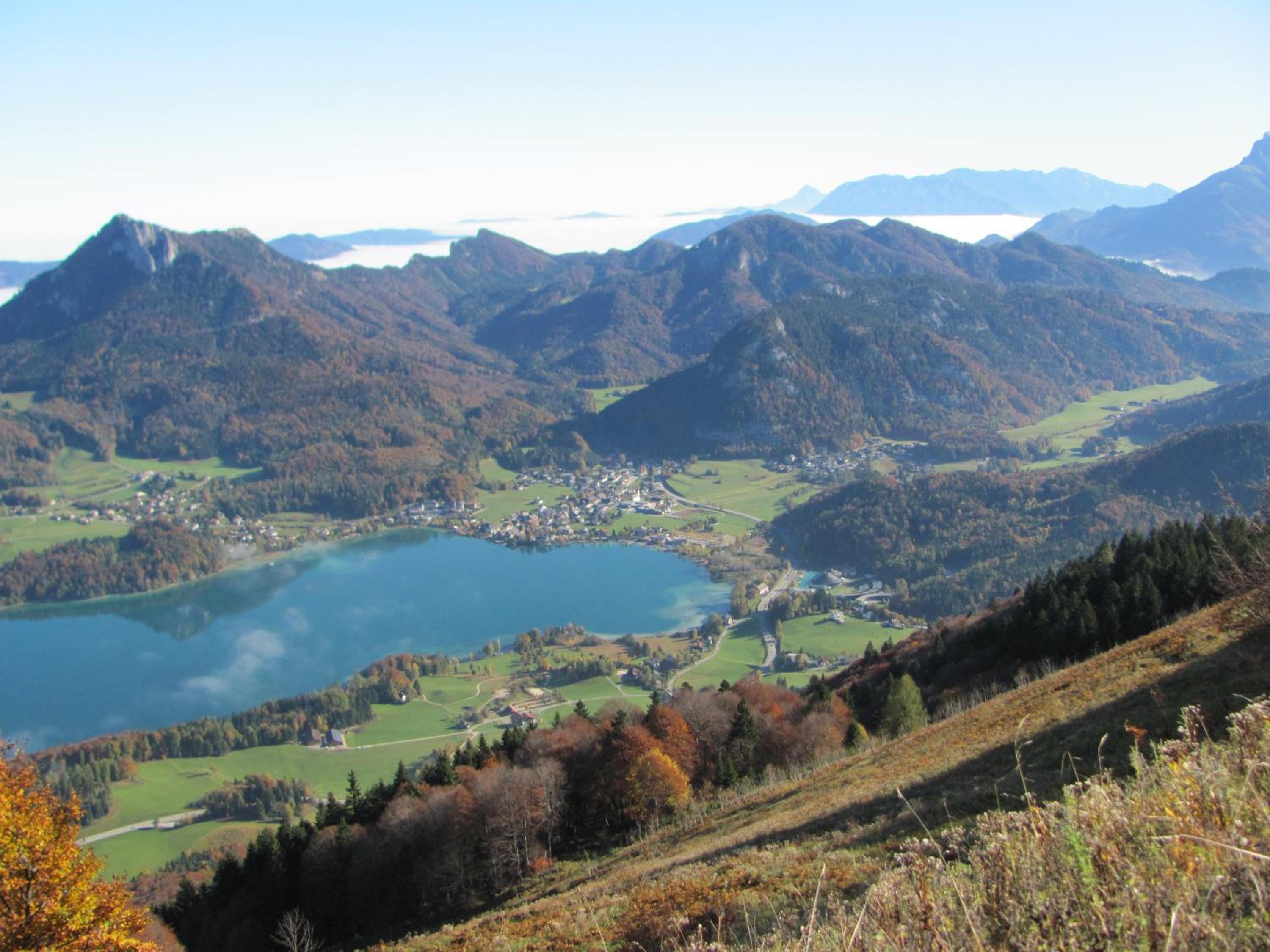 Feichtingerbauer