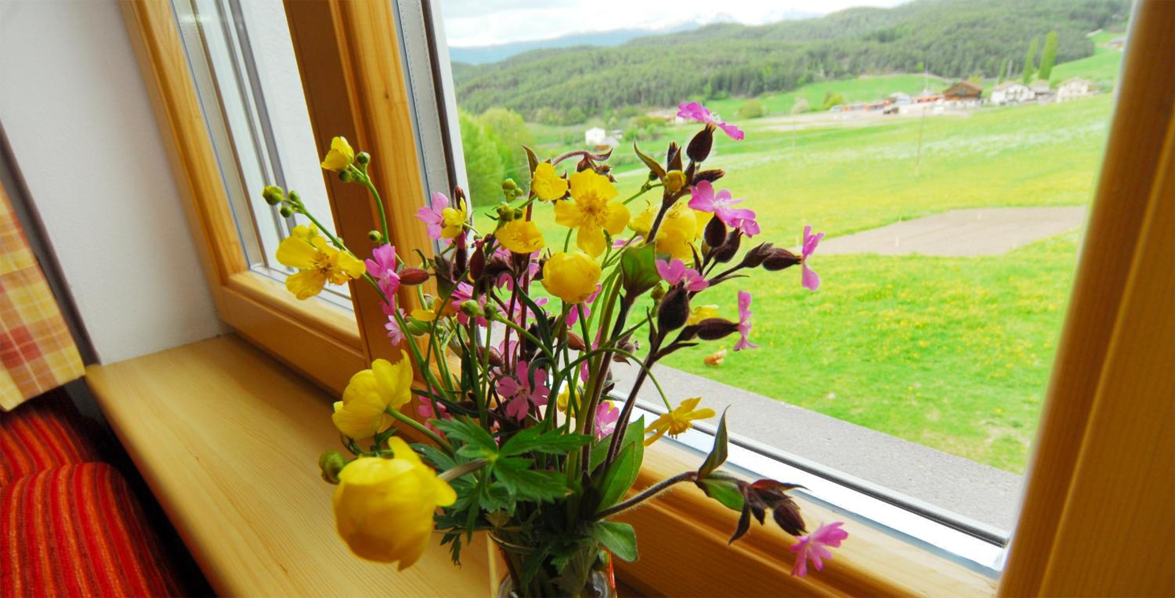 Urthalerhof view 4