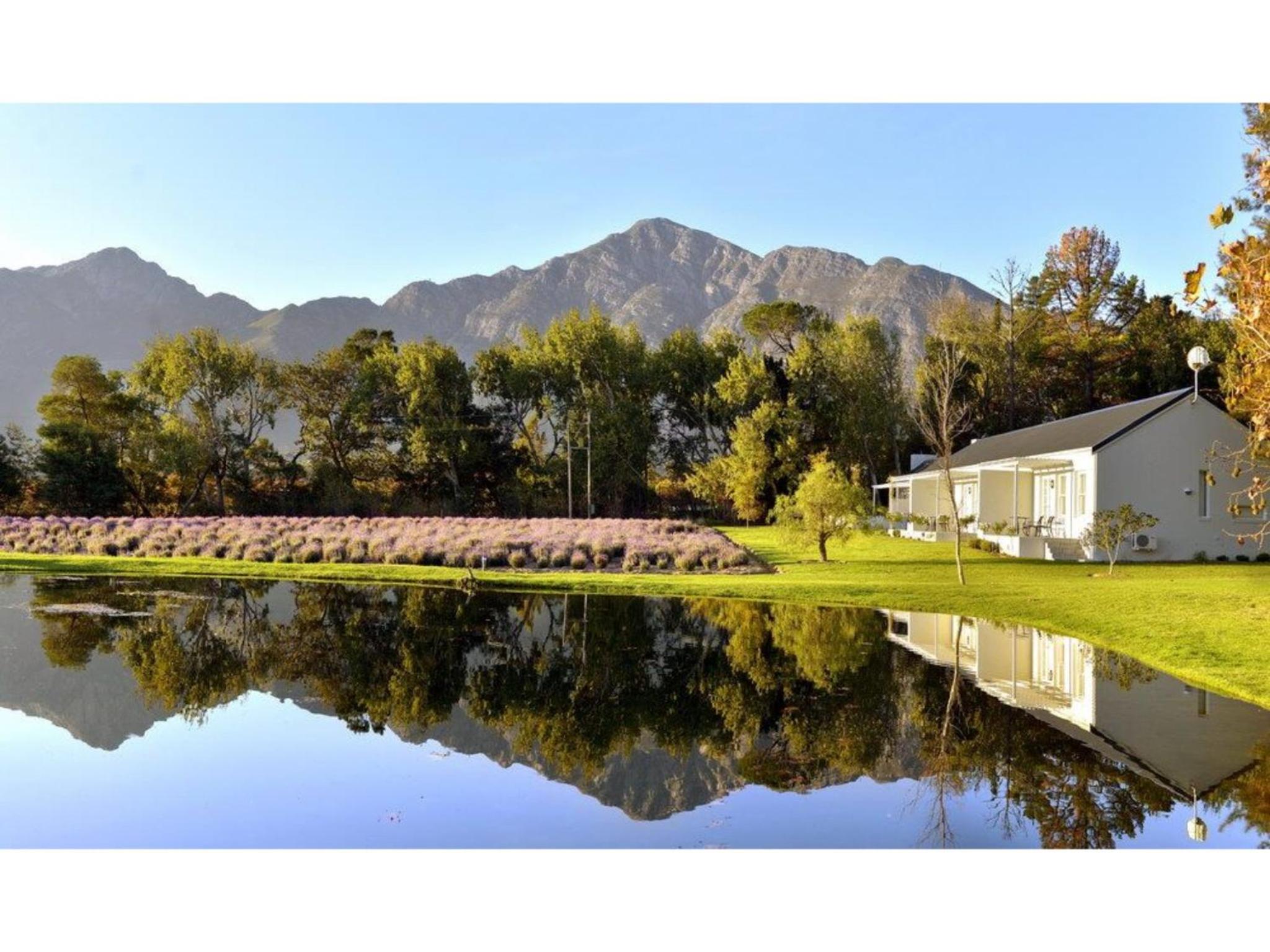 Lavender Farm Boutique Guest House