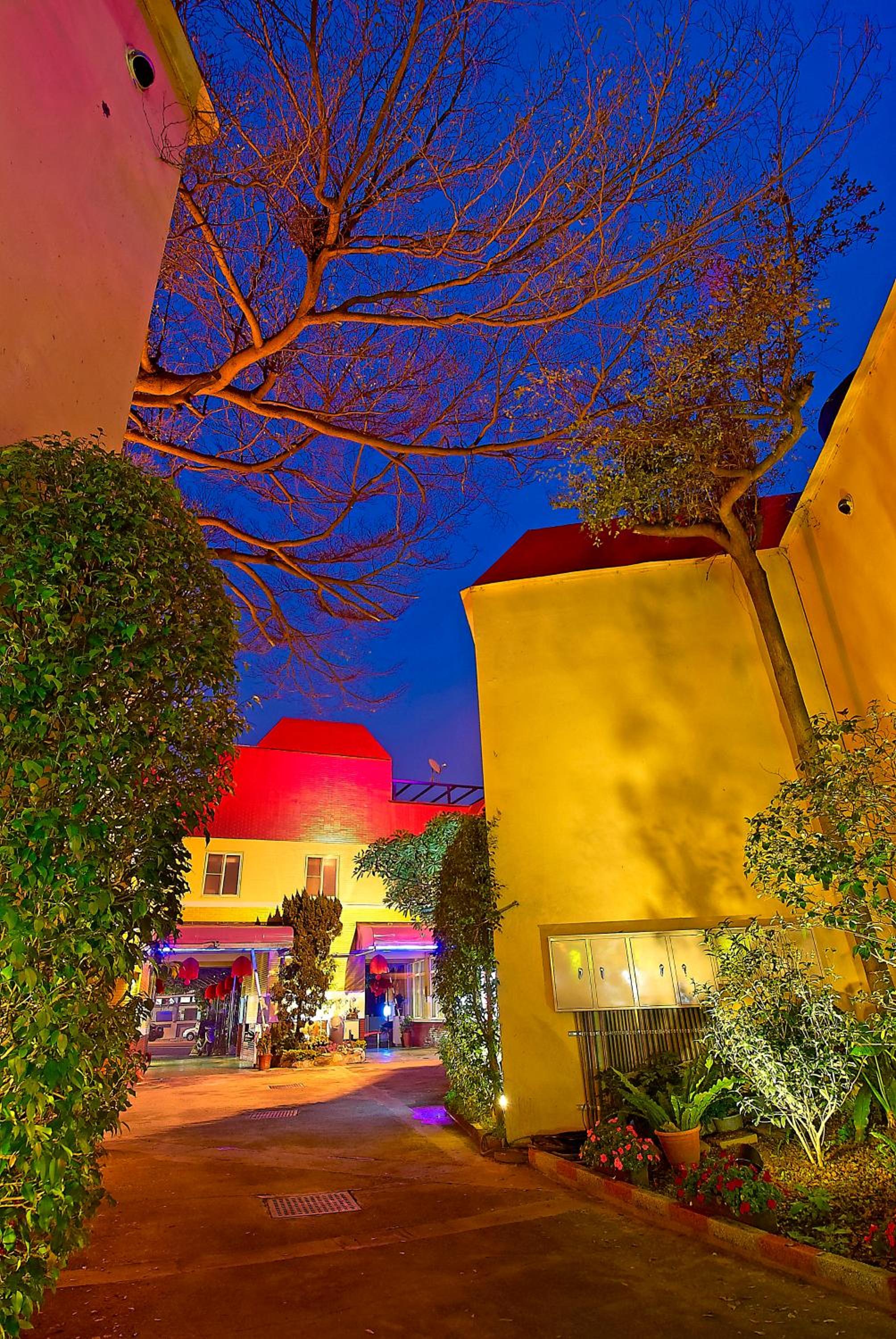Photo 17