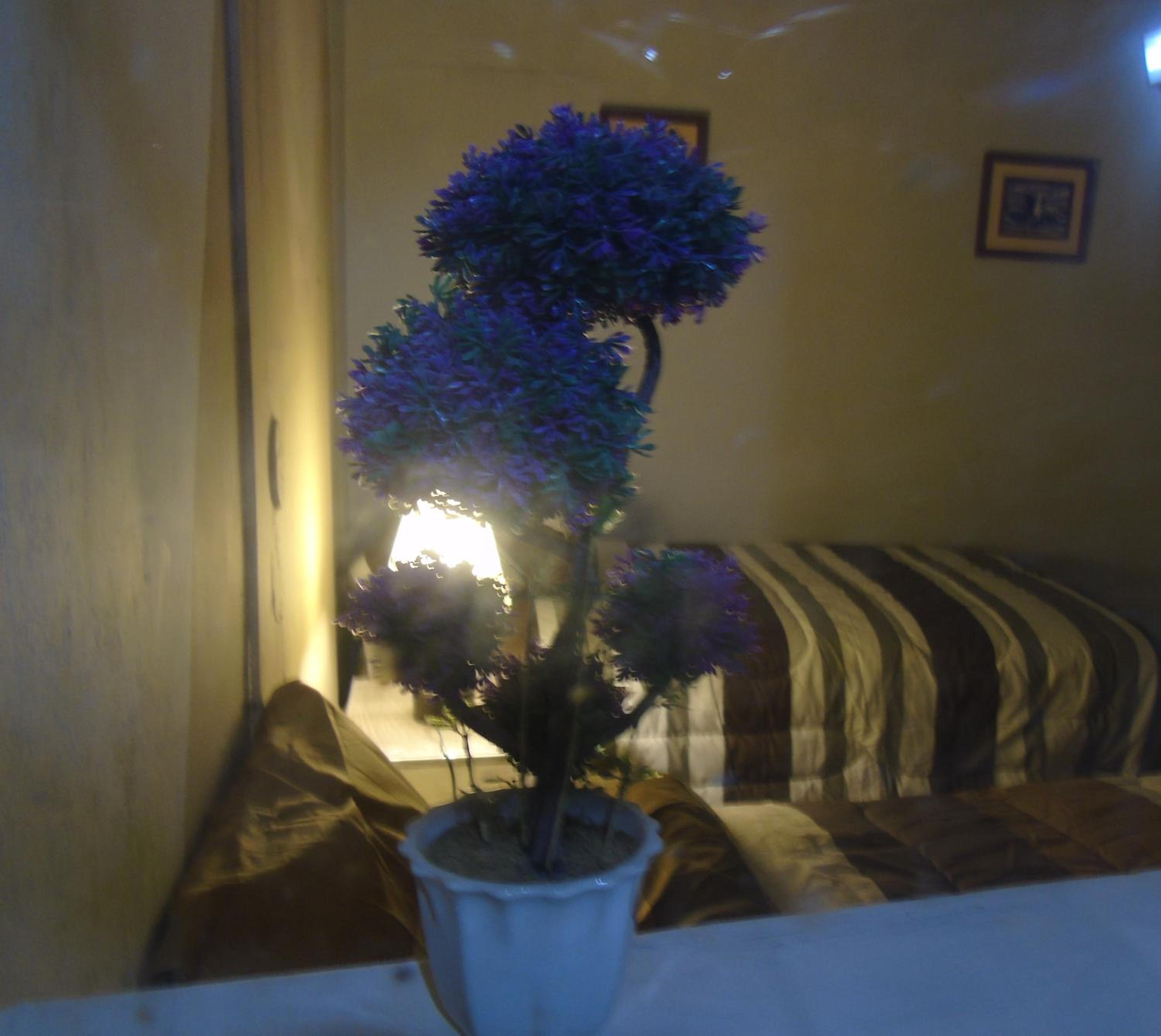 Photo 36
