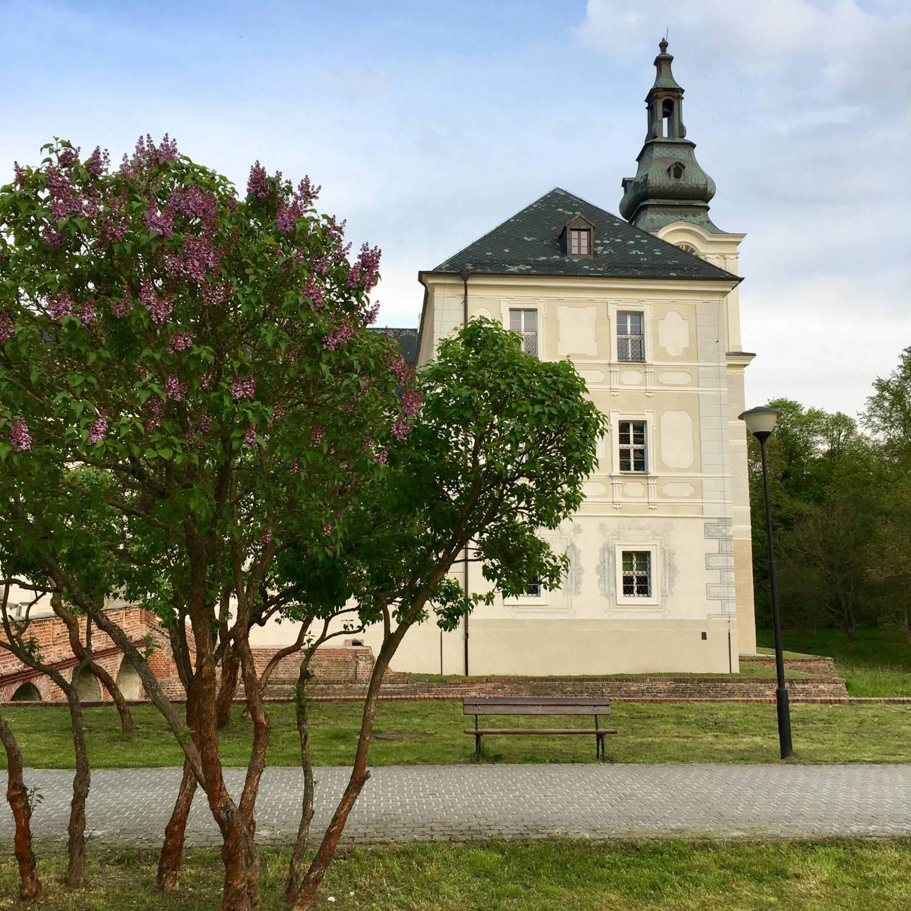 Photo 6