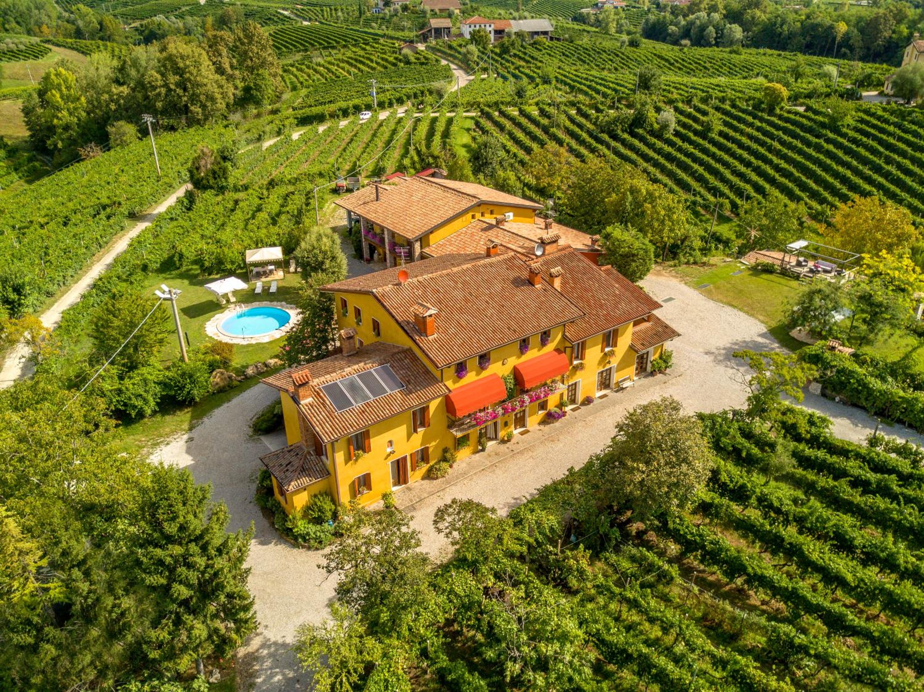 Azienda Agricola Campion view 2
