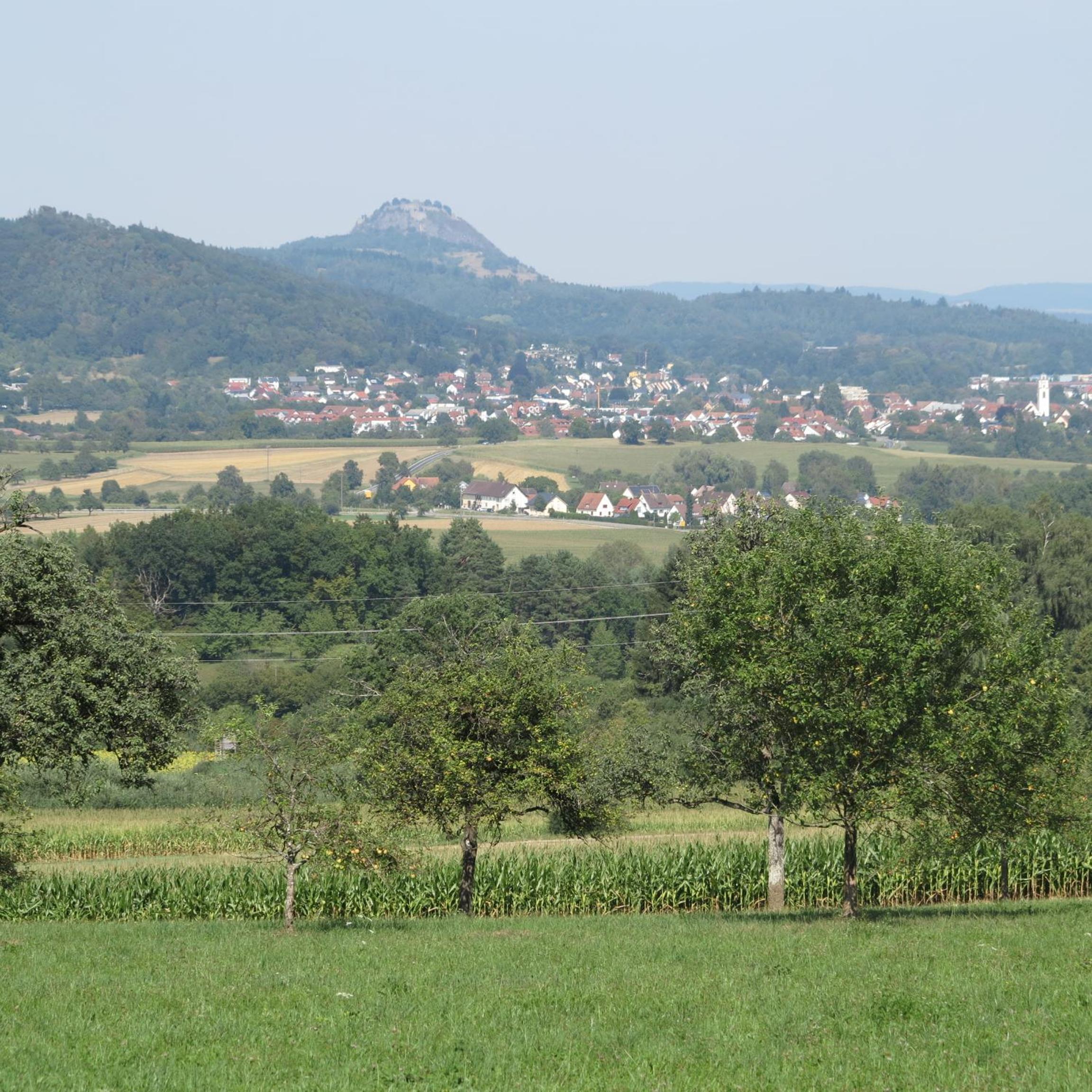BodenSEE Hegau Gottmadingen view 3