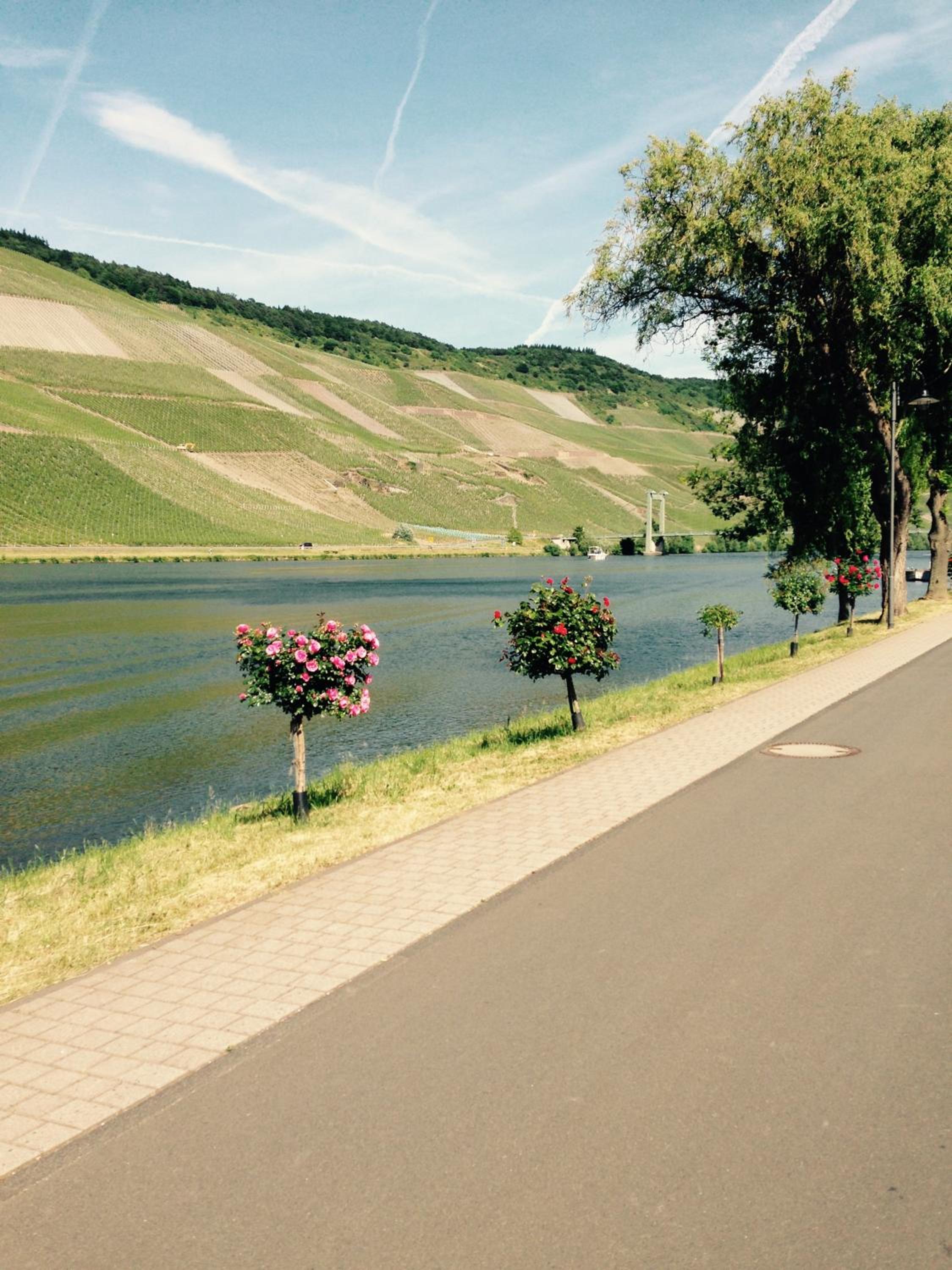 Ferienwohnung Mosel