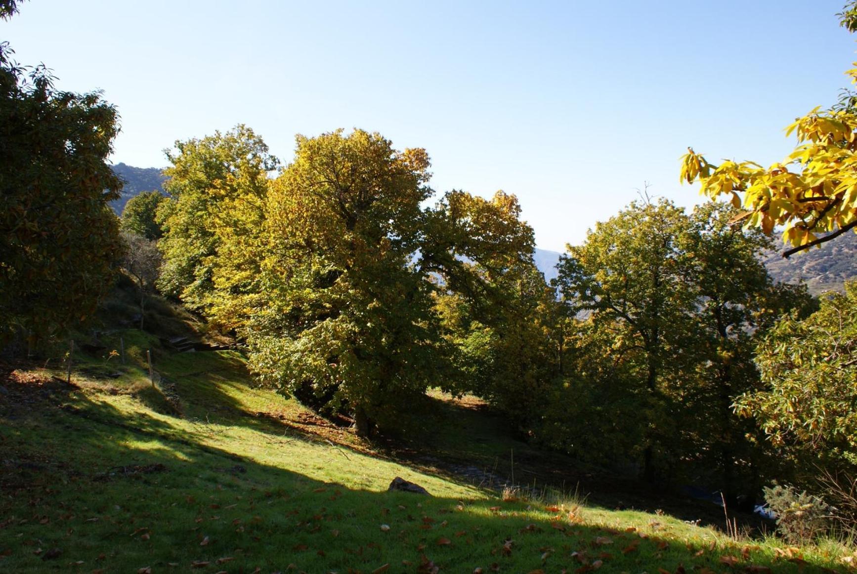Photo 20