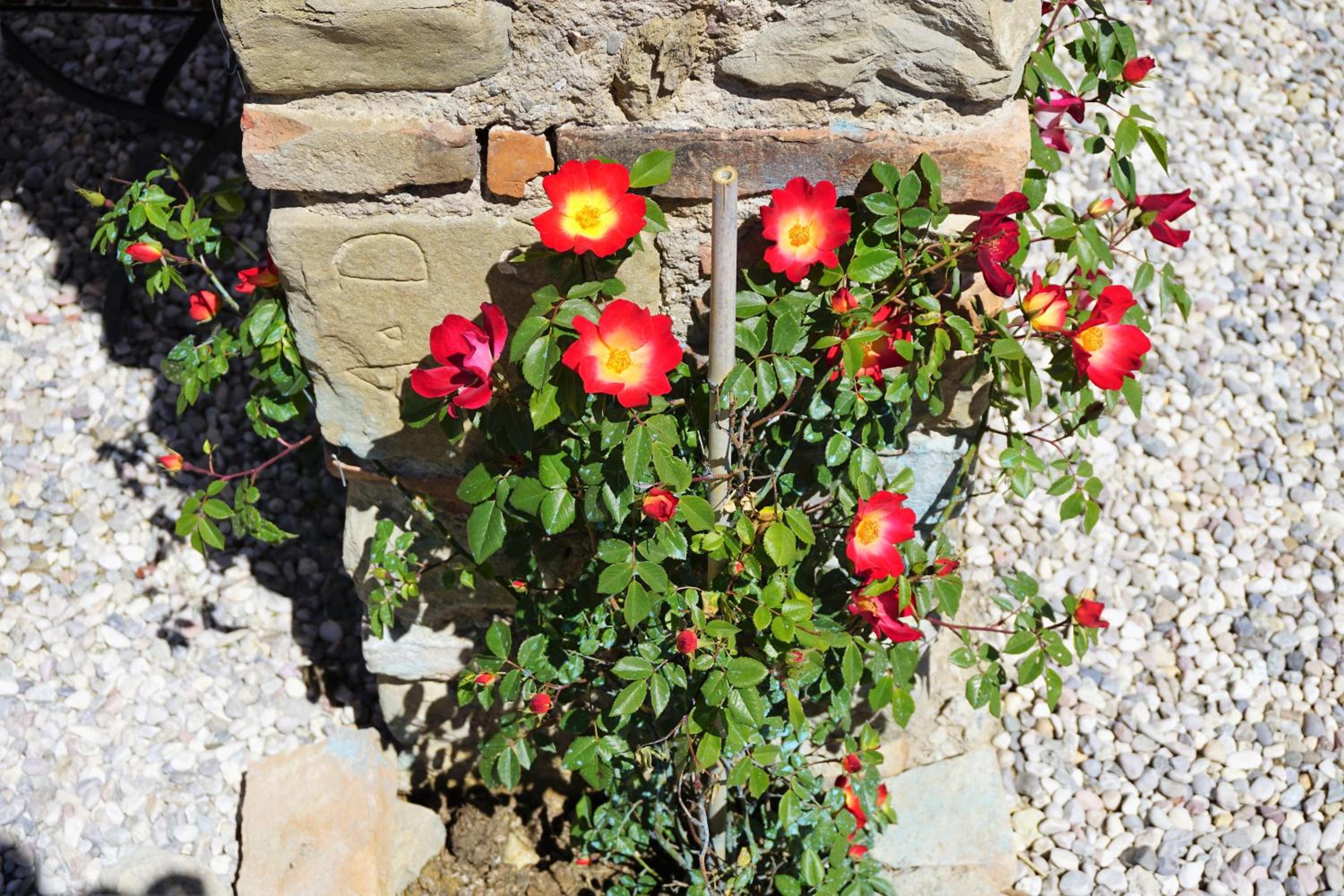 Casatorta