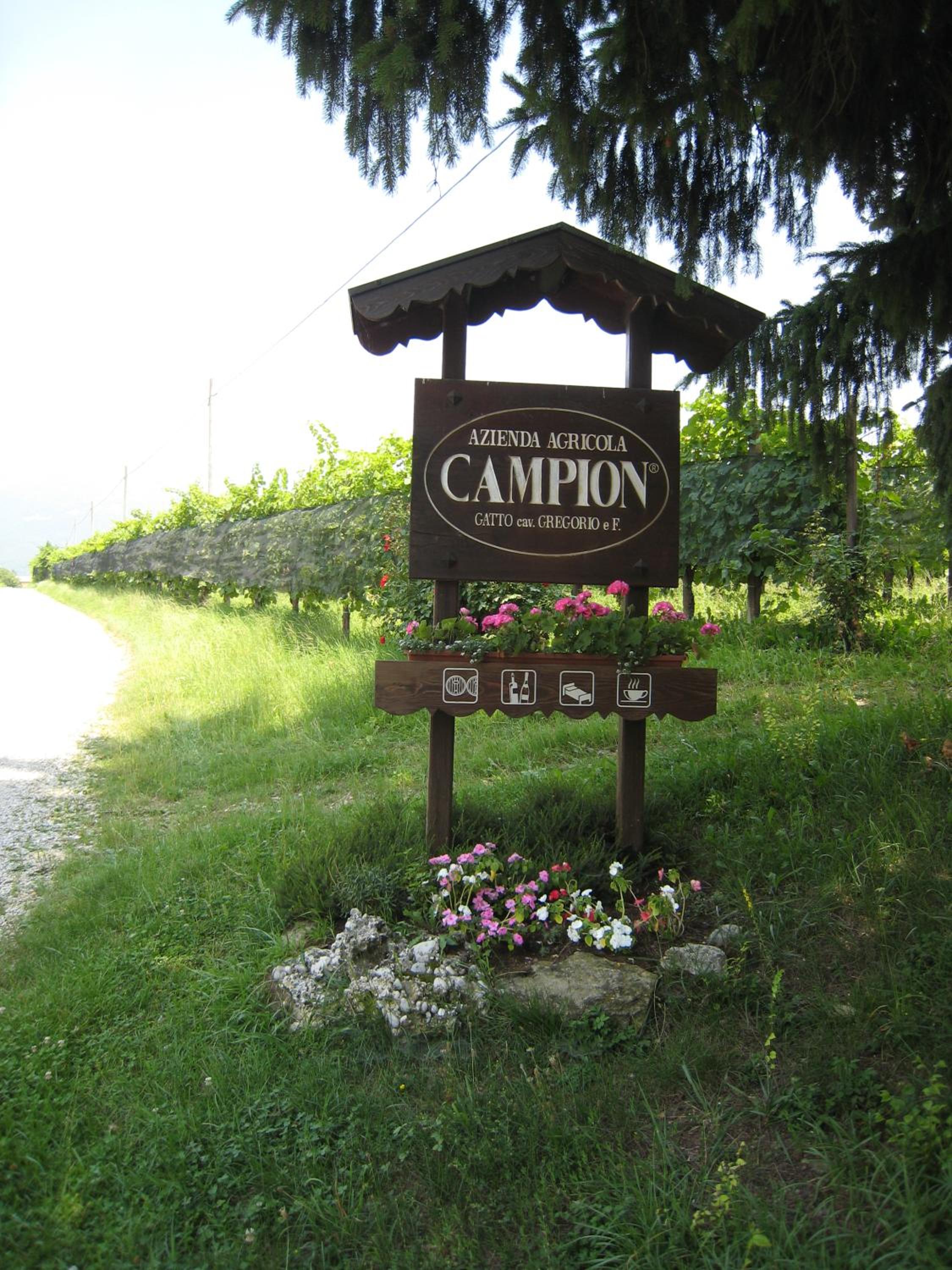 Azienda Agricola Campion view 5