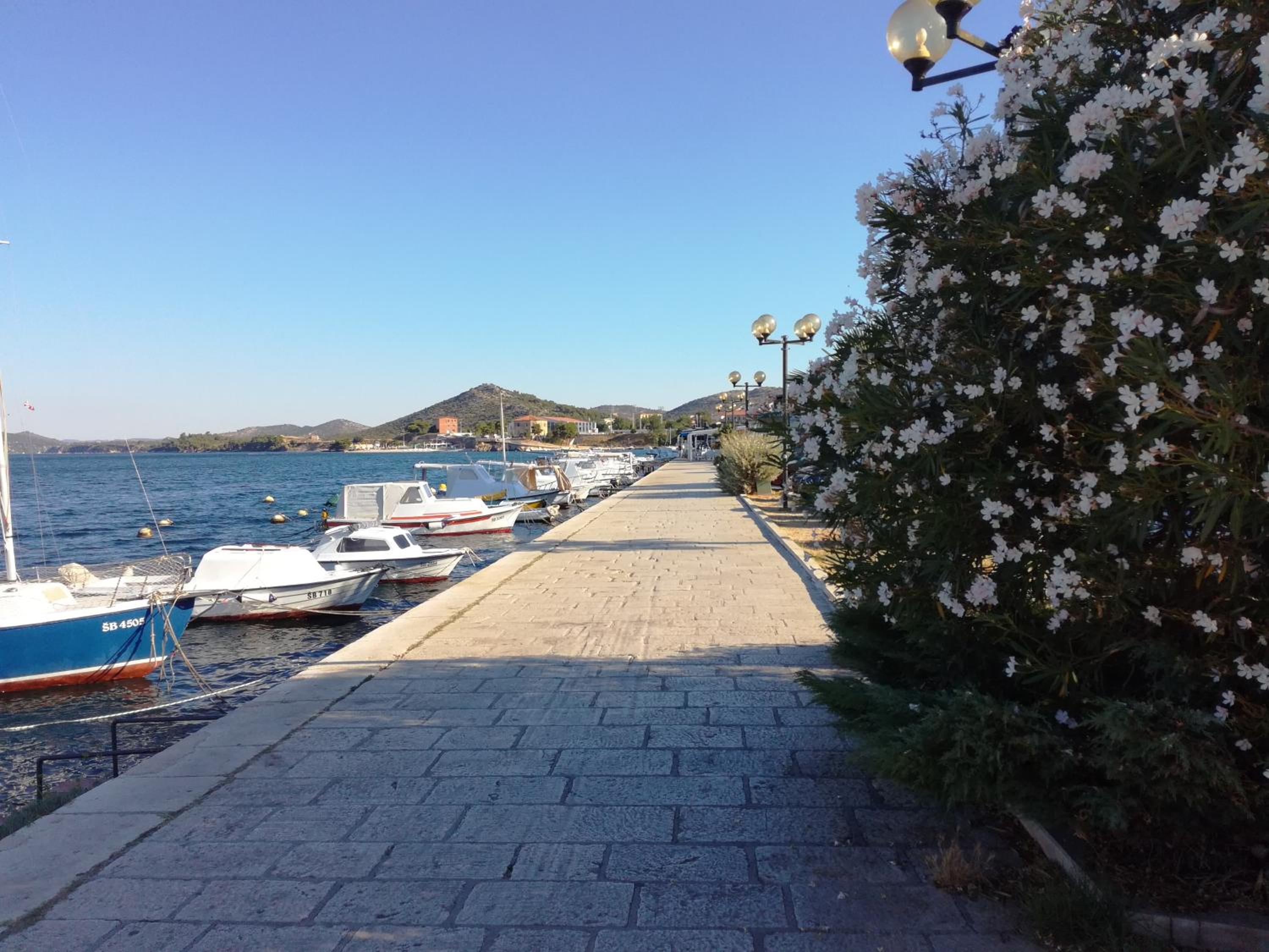 Antini Trudi view 4