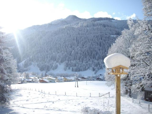 Photo 23