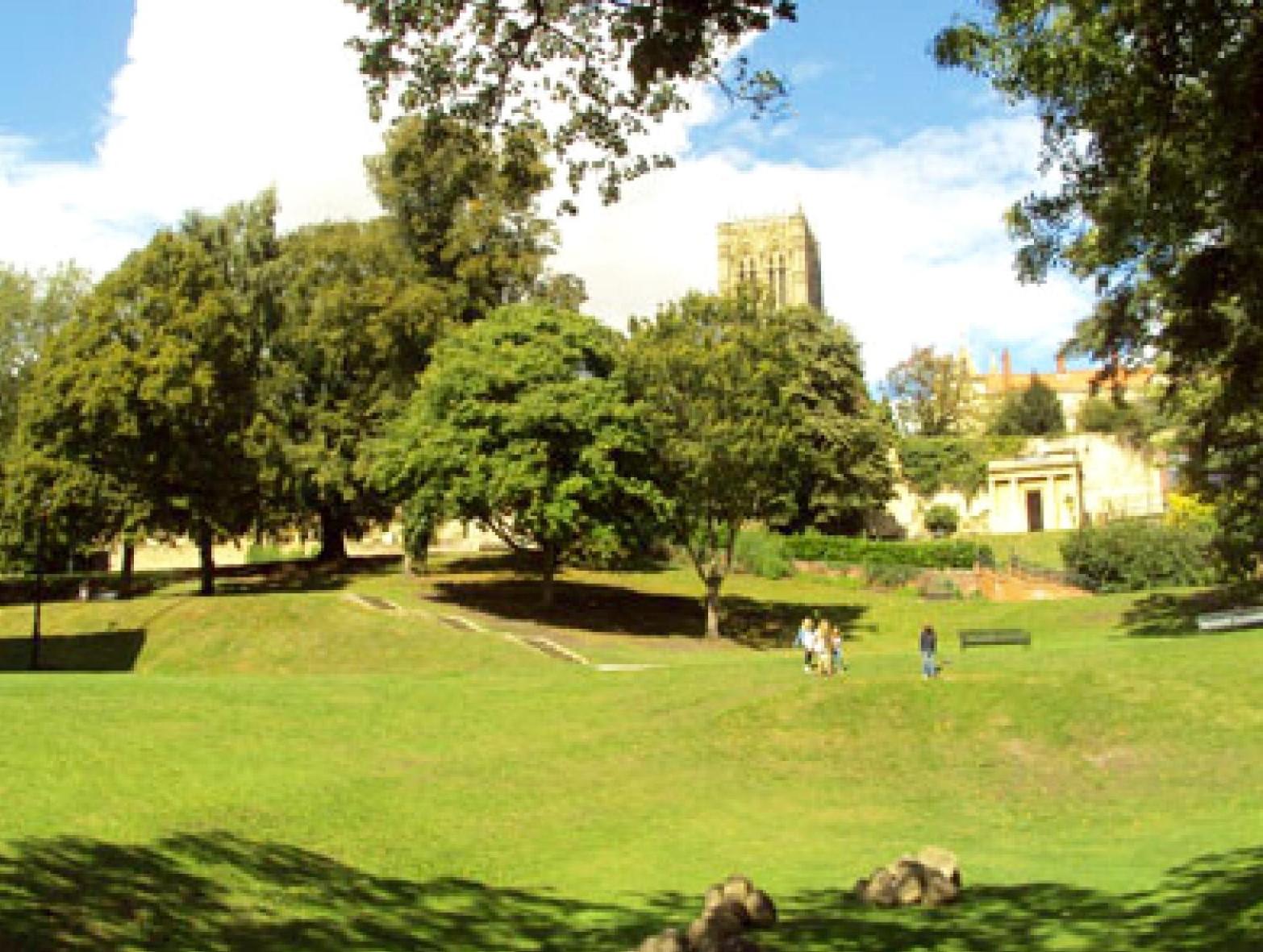 Photo 23