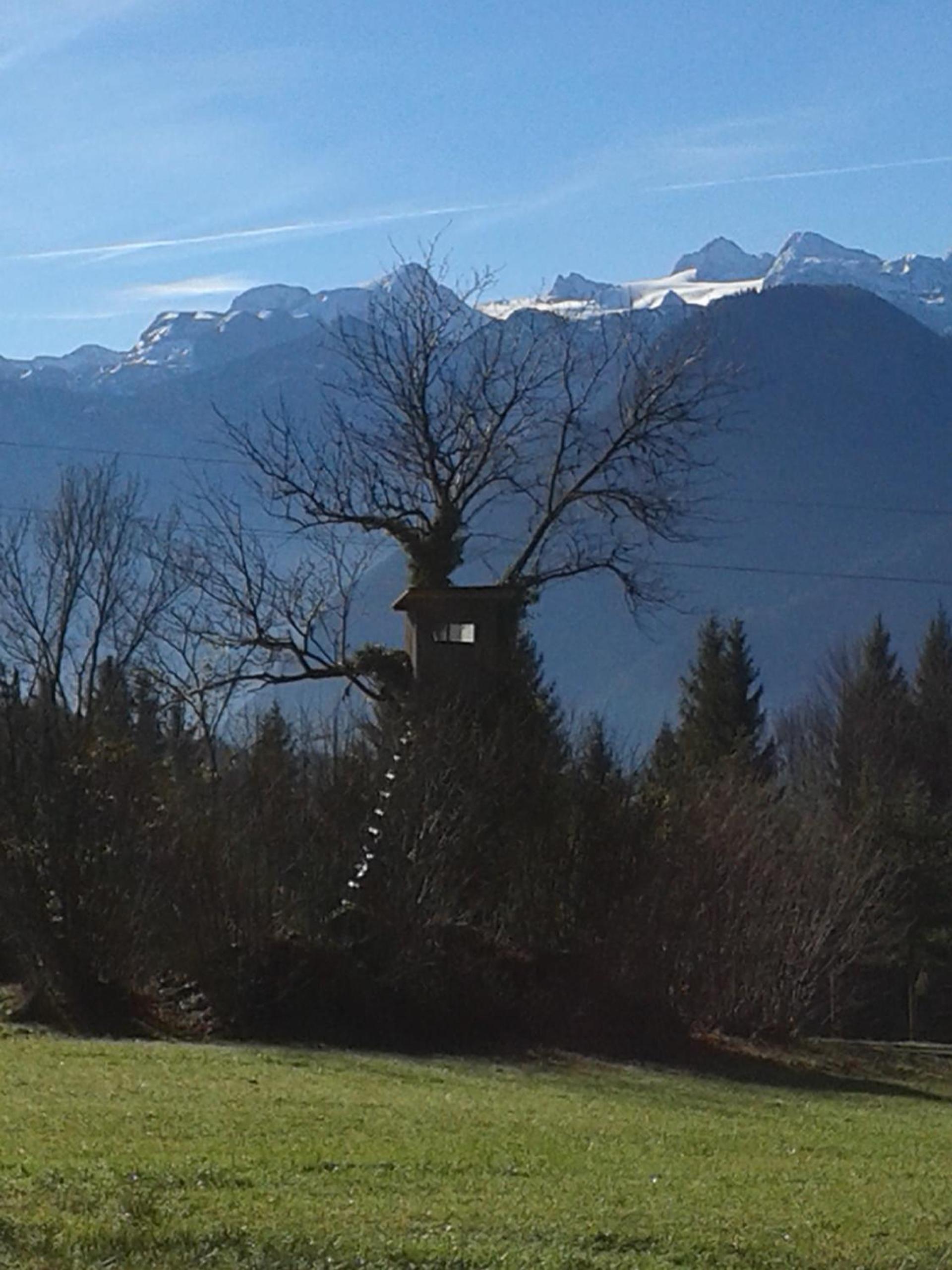Ferienwohnung am Bauernhof Koa
