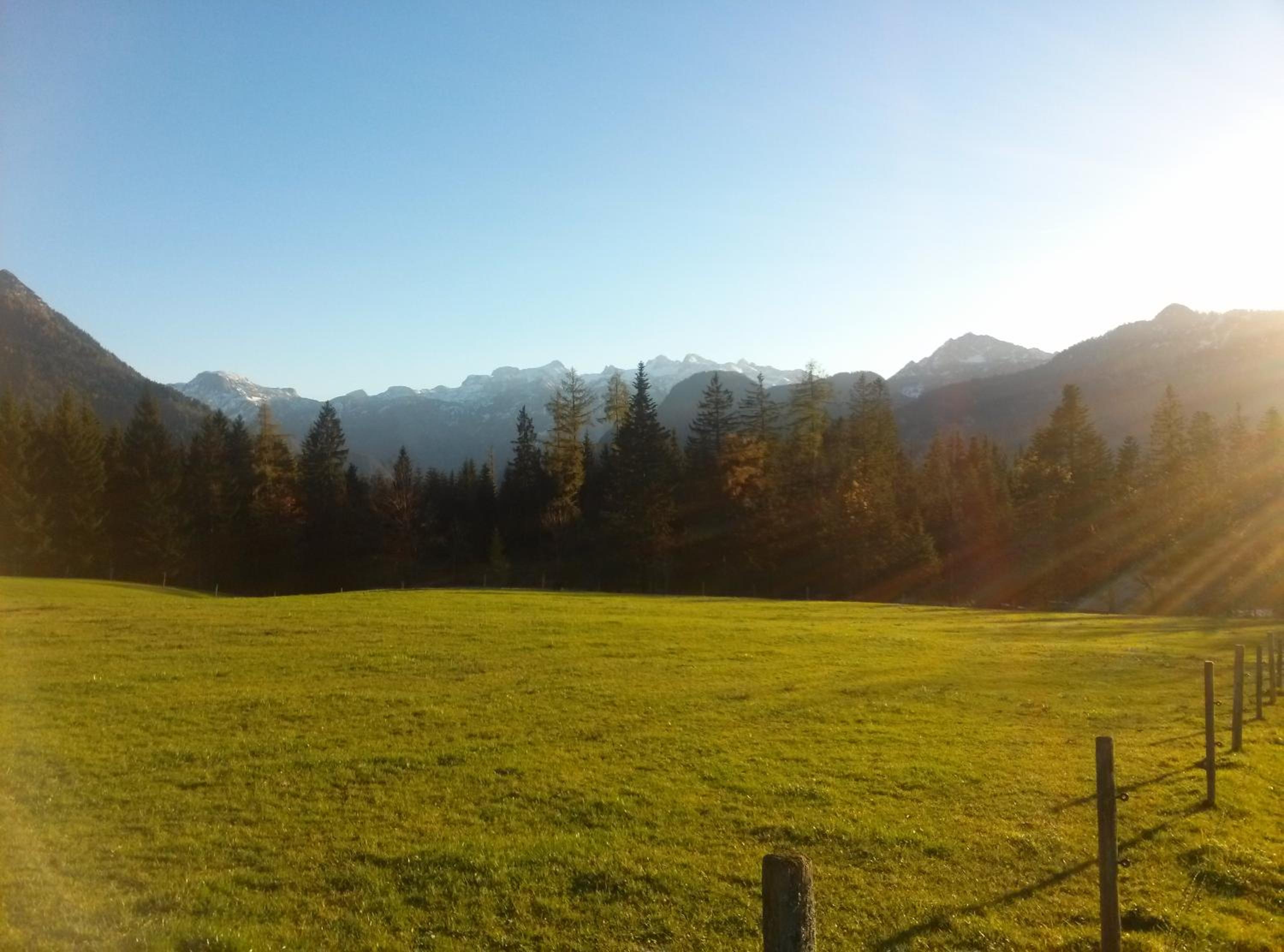 Ferienwohnung am Bauernhof Koa