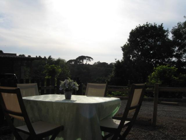 Casolare Toscano view 5
