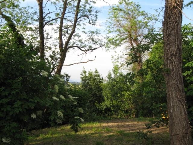 Photo 38