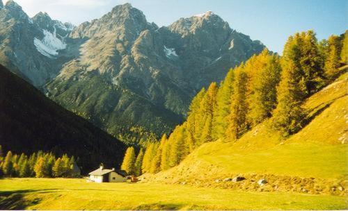 Photo 50