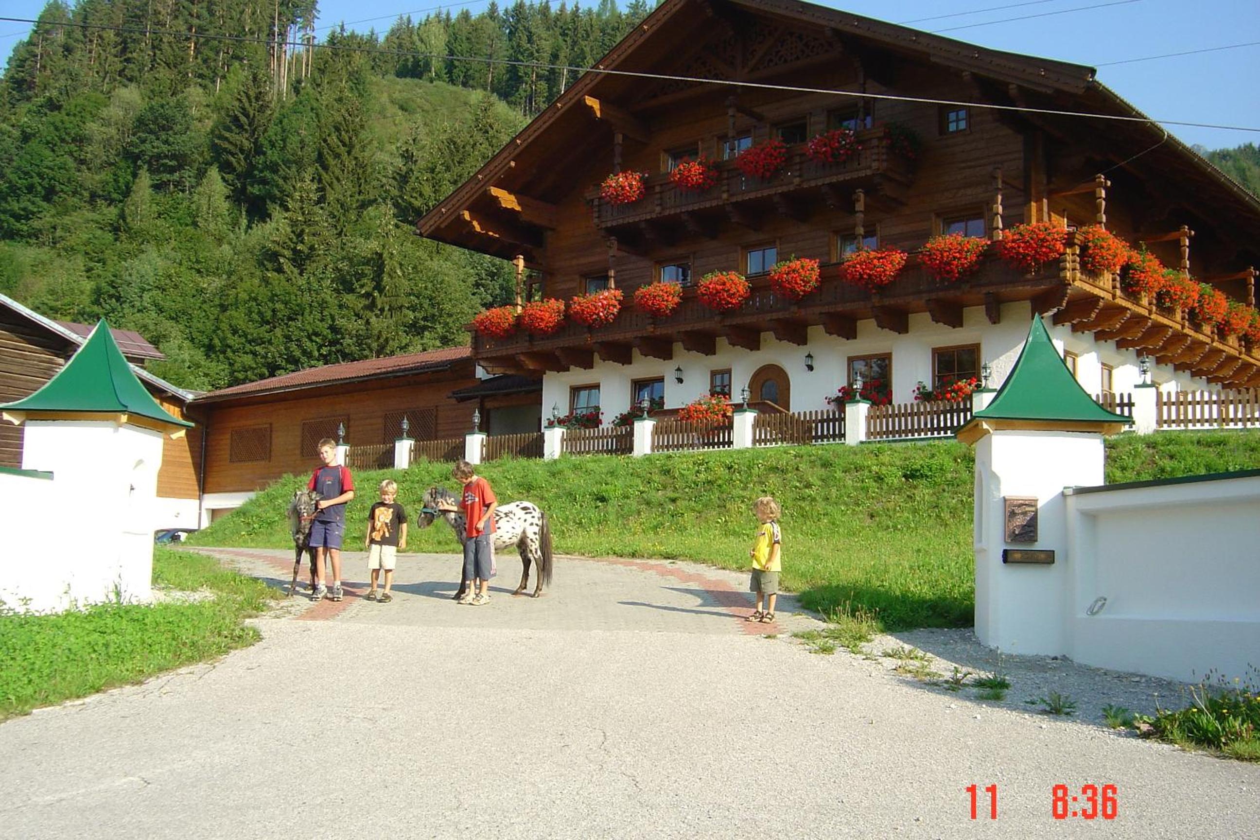Photo 6