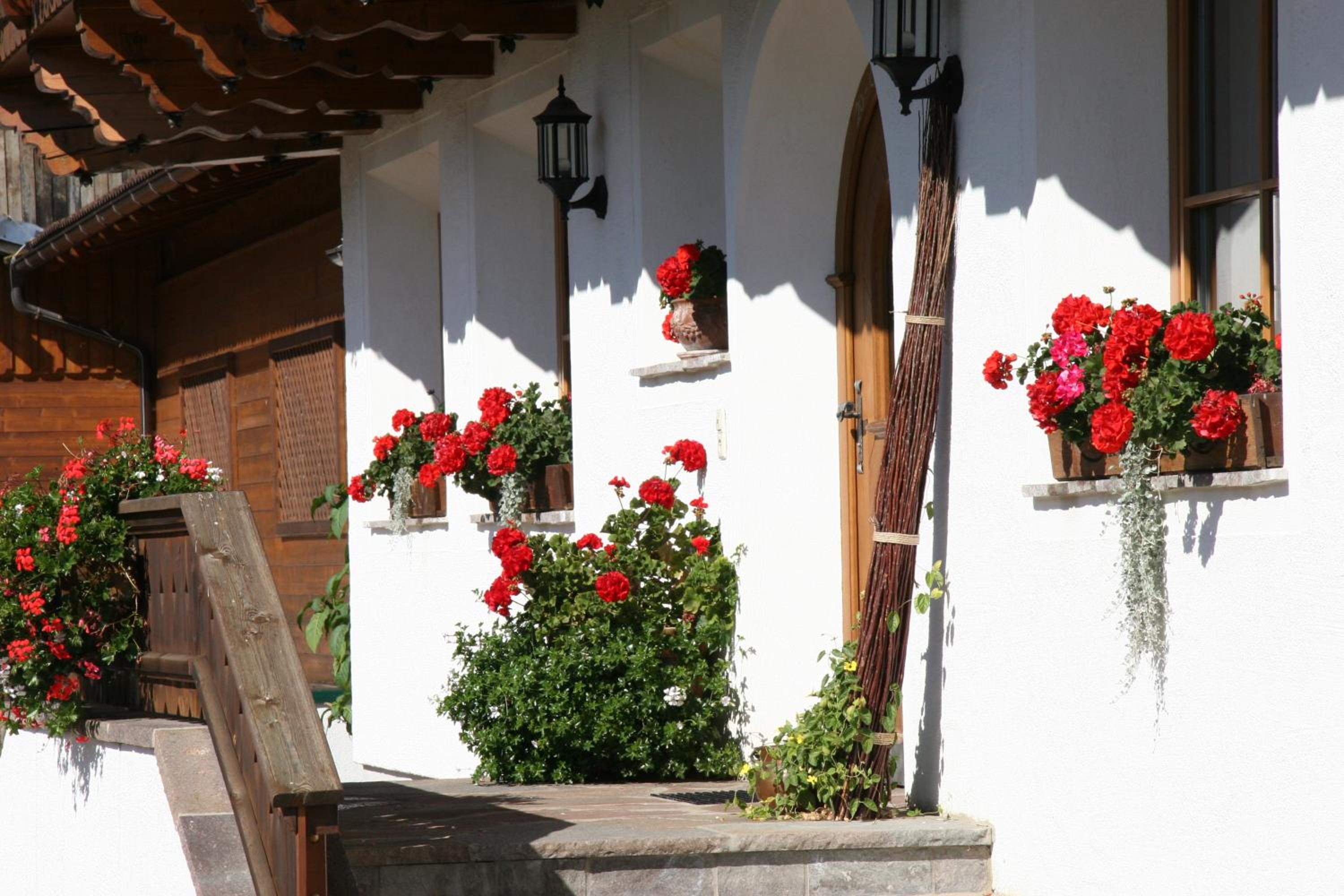 Moserhof view 5