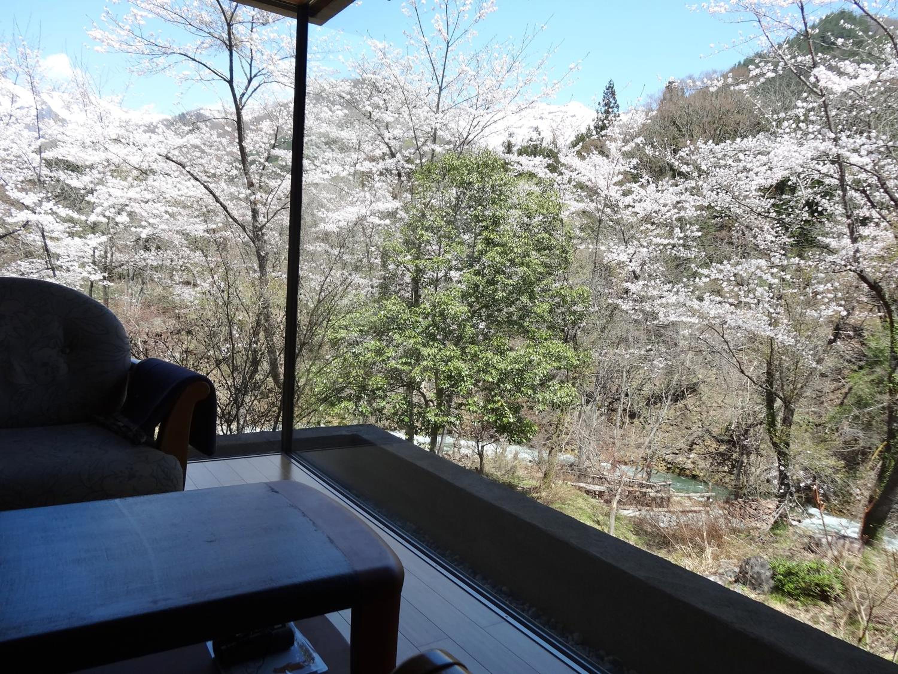 Bettei Senjyuan view 5