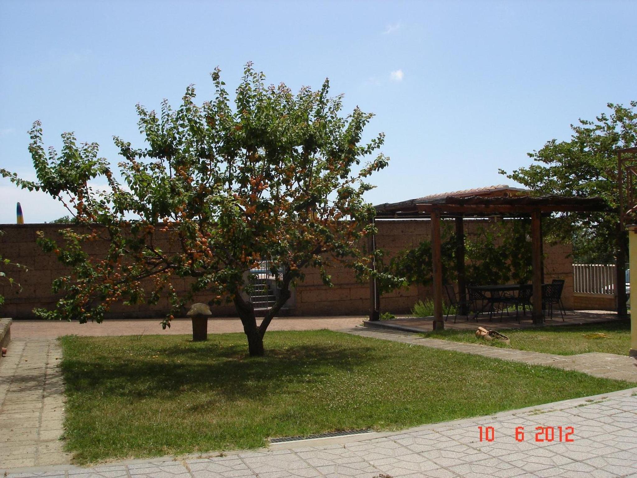 Photo 43