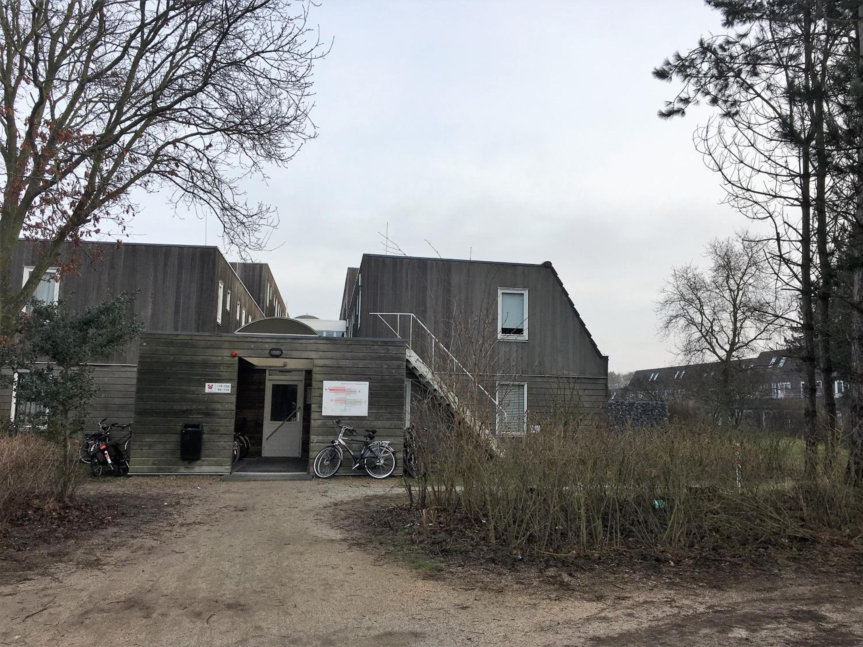 Photo 41