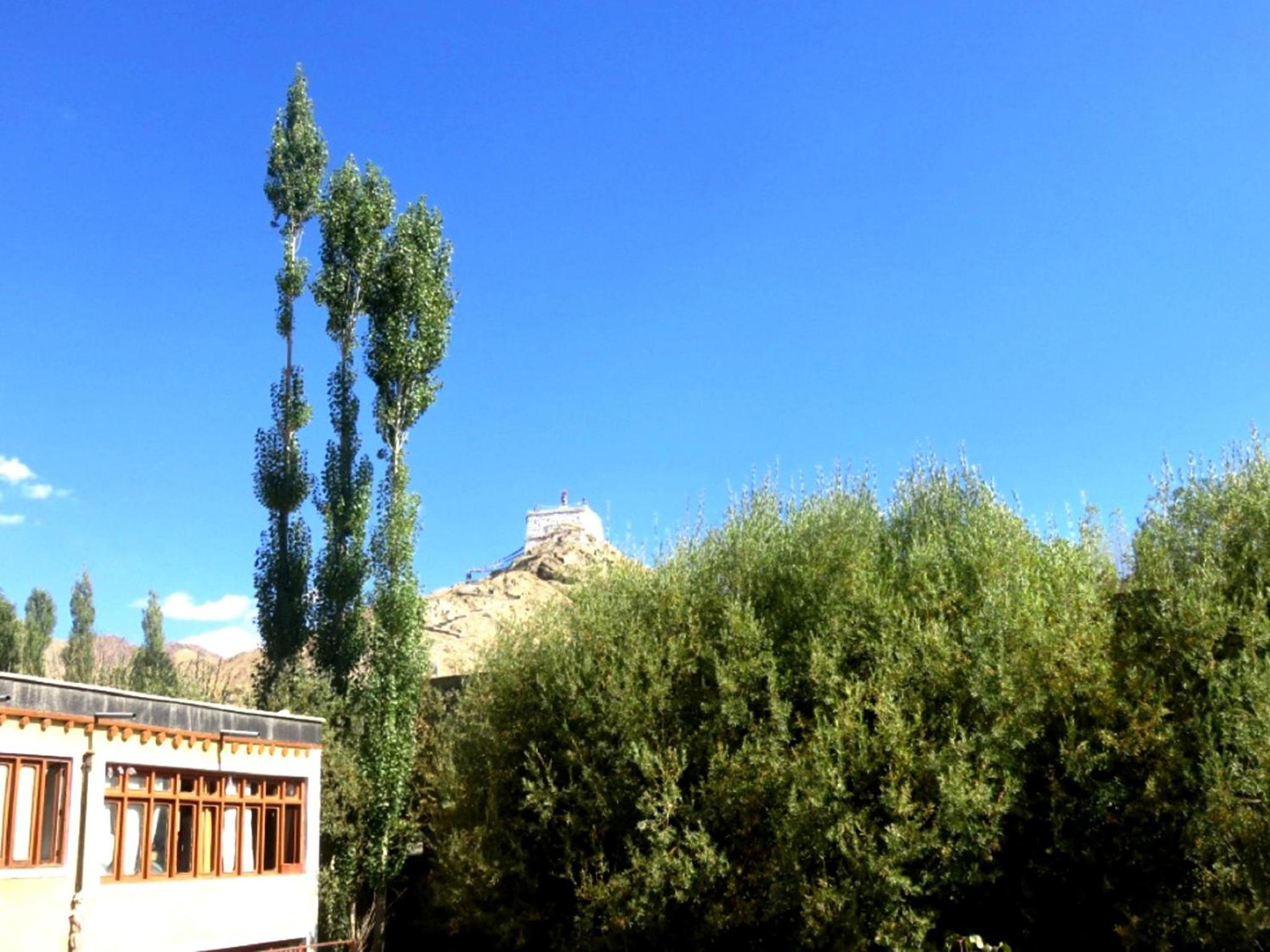 Photo 24