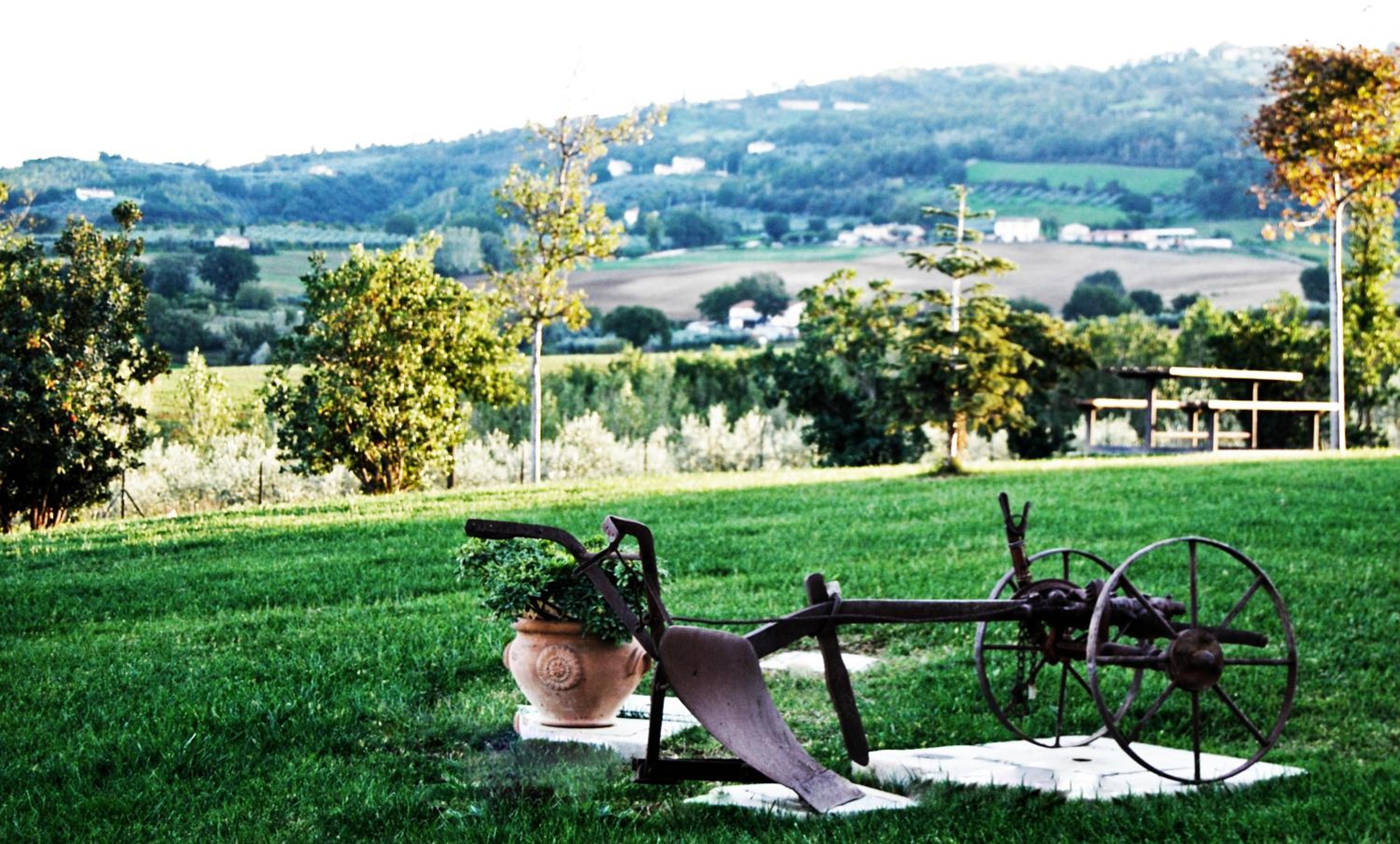 Tenuta Del Perugino