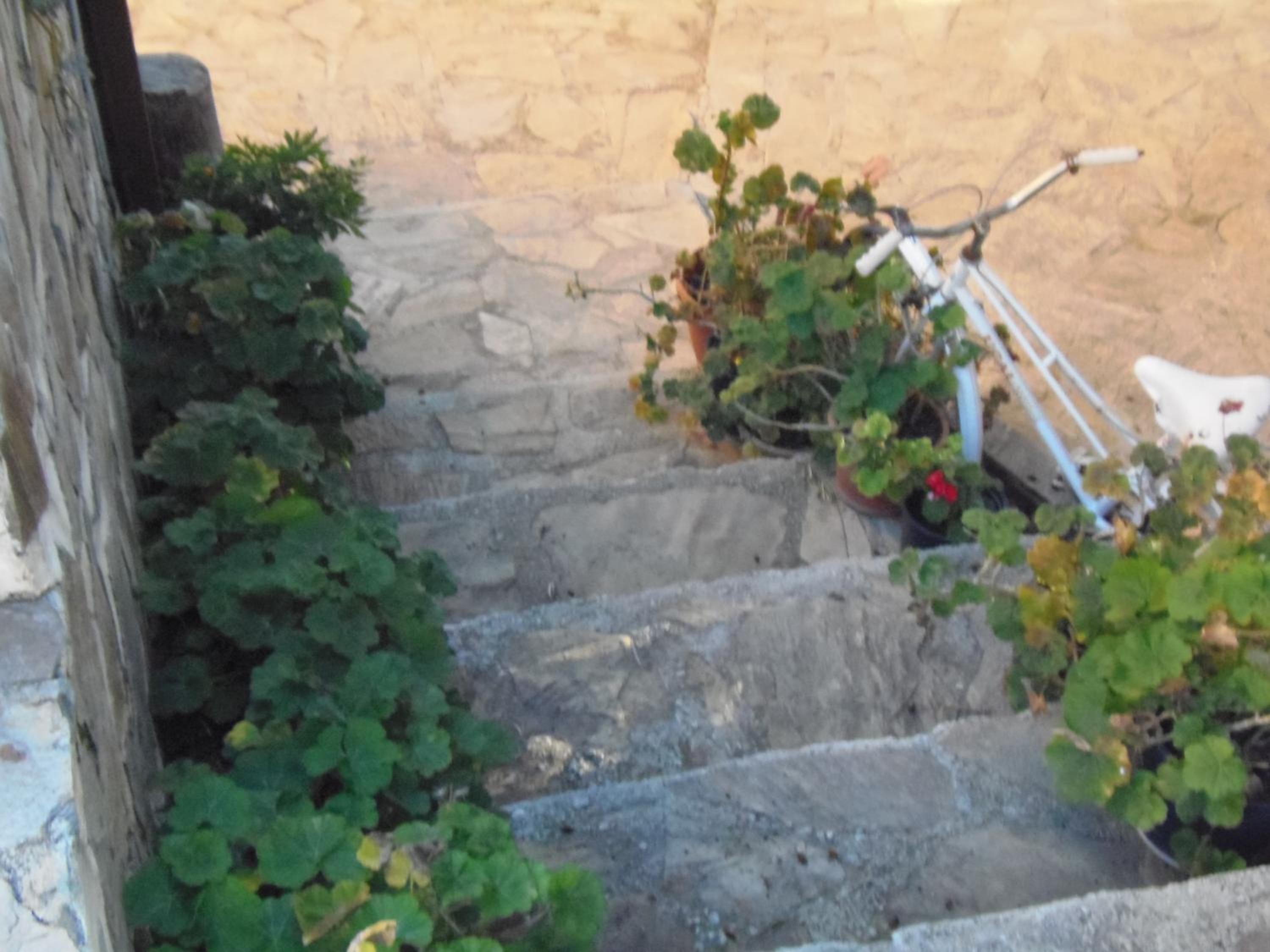 Cortijo Moyano