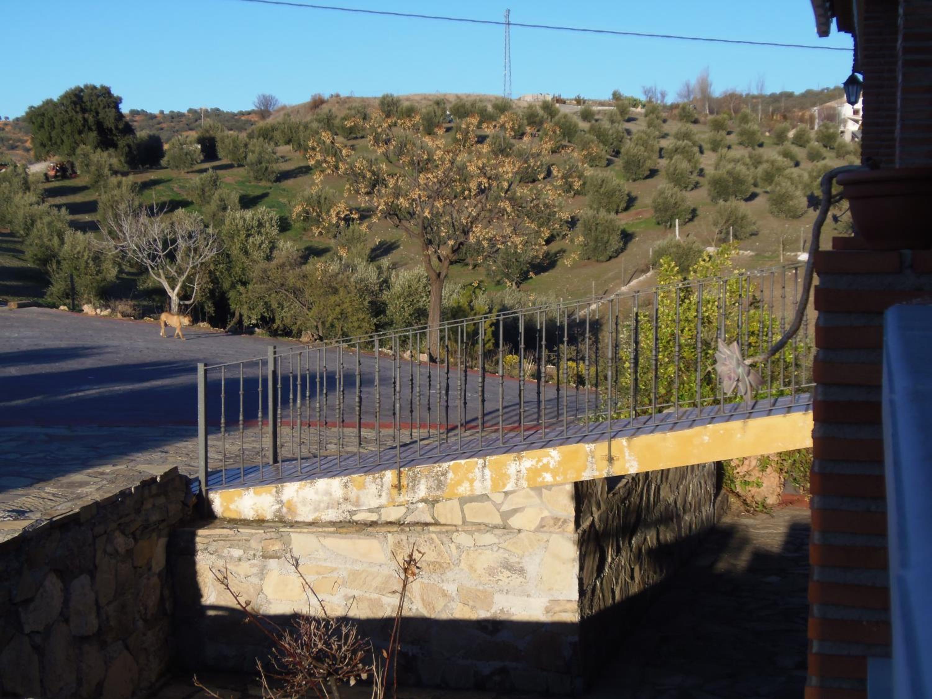 Cortijo Moyano
