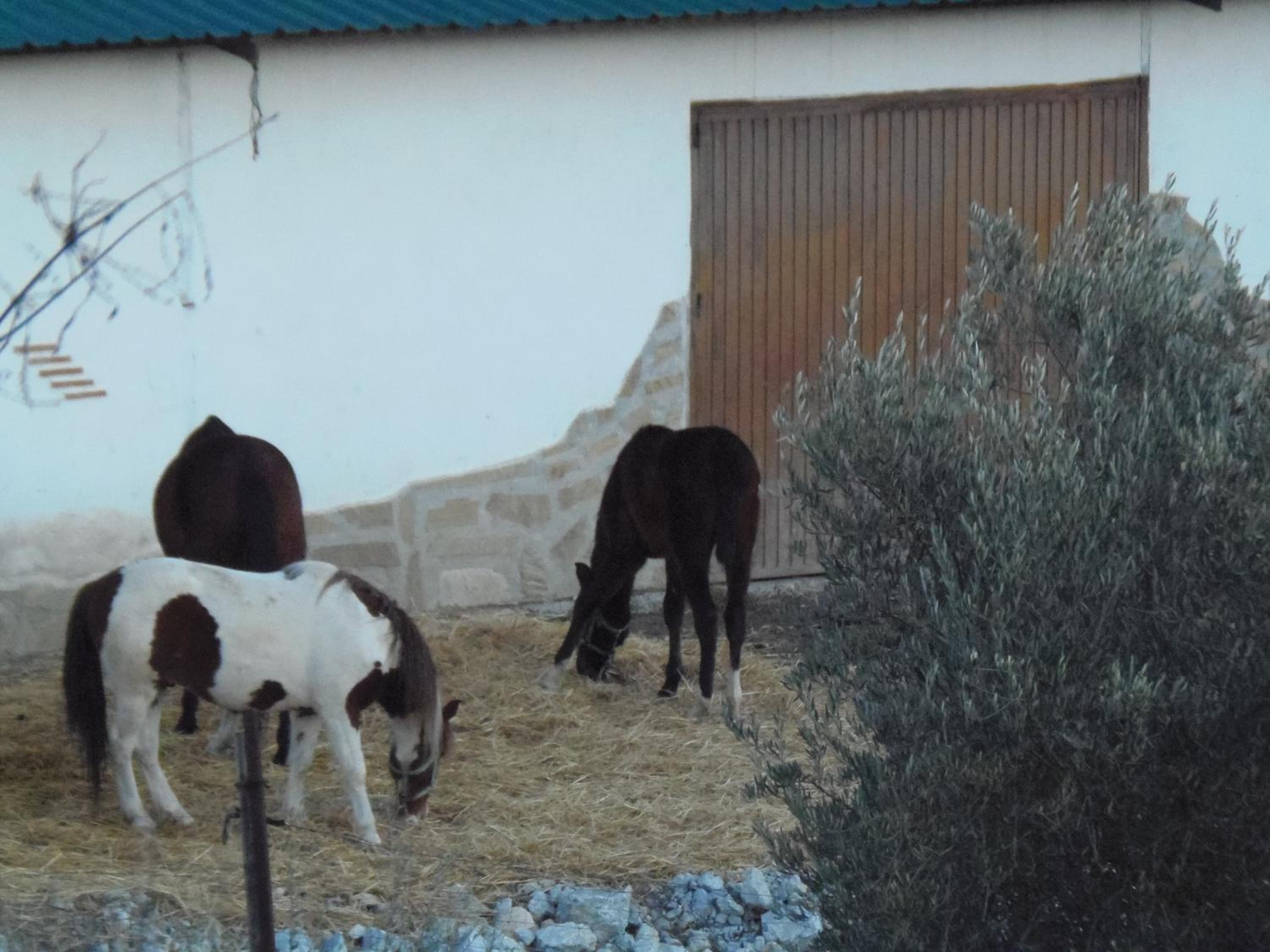 Cortijo Moyano