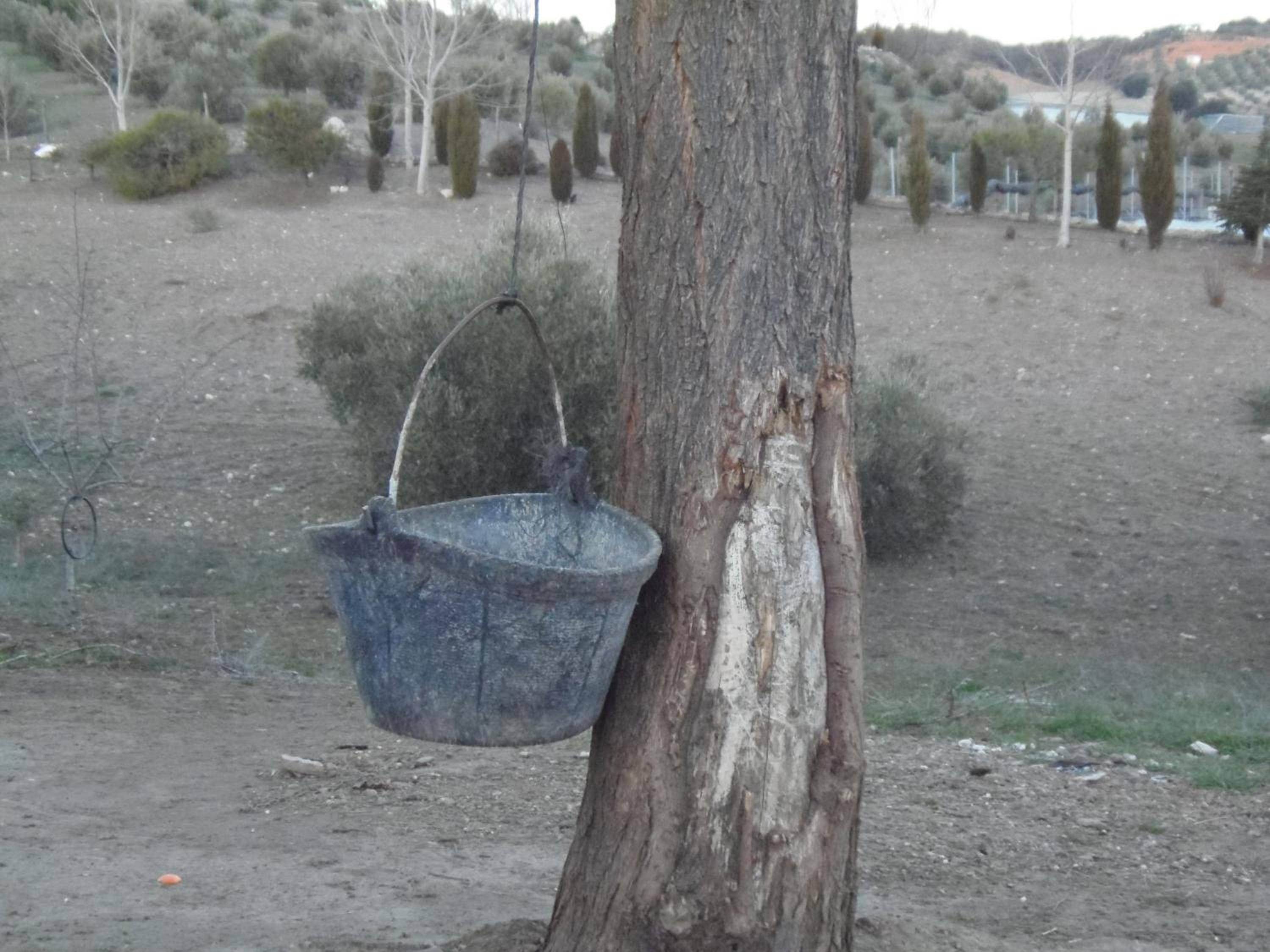 Cortijo Moyano