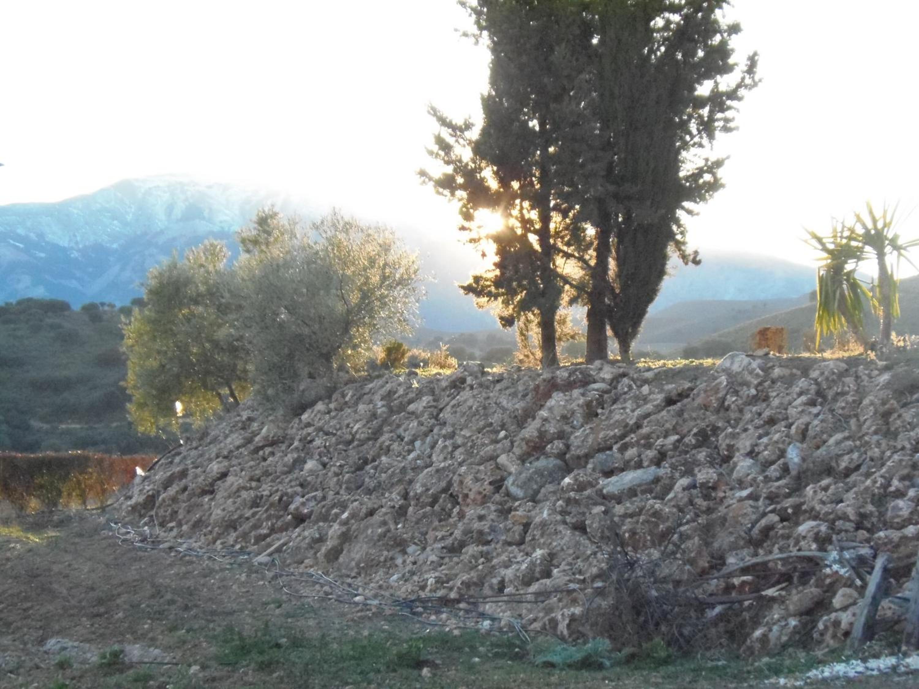 Cortijo Moyano