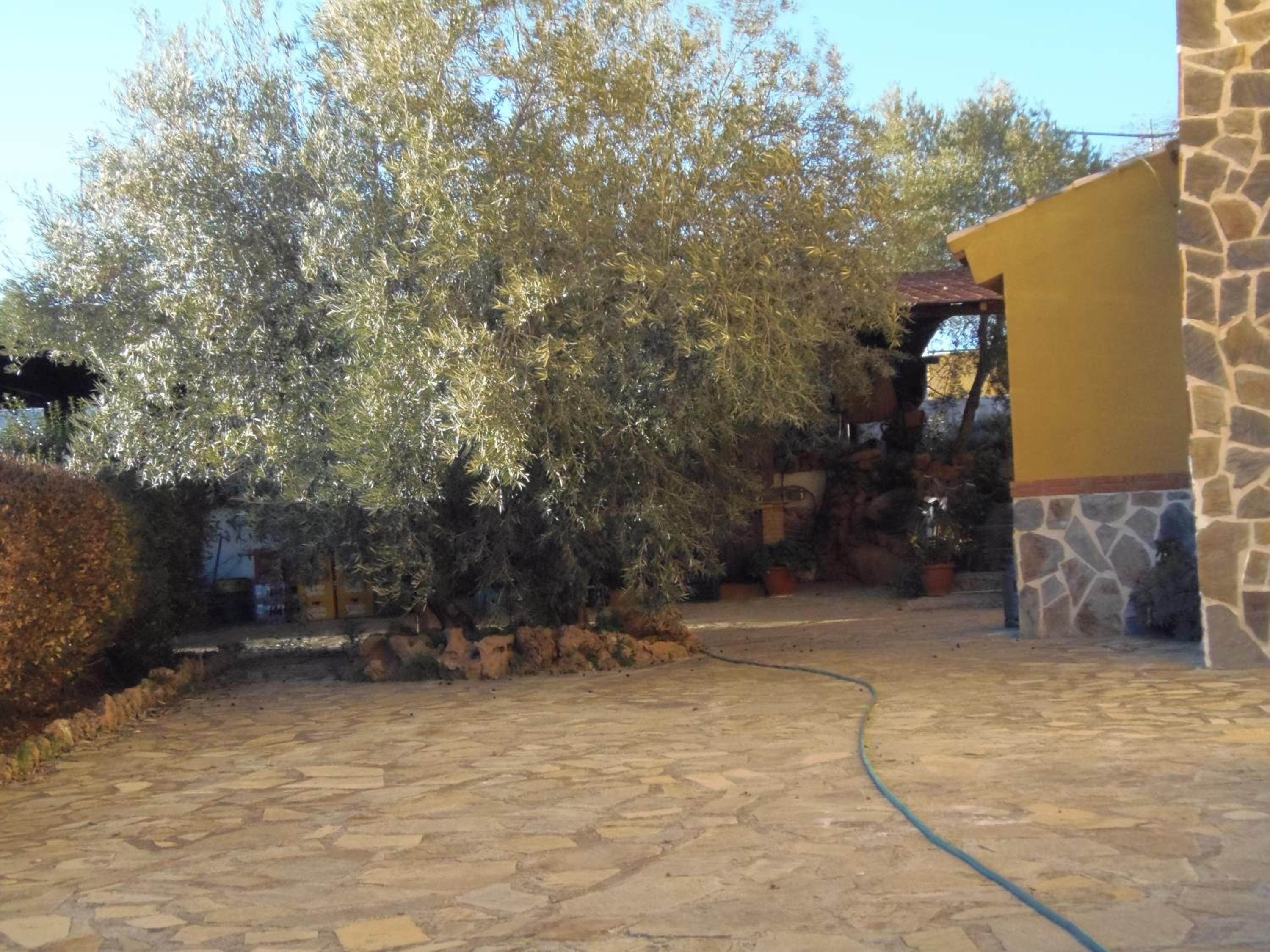 Cortijo Moyano