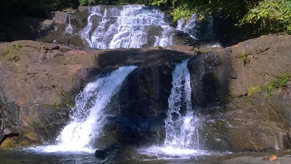 Photo 35
