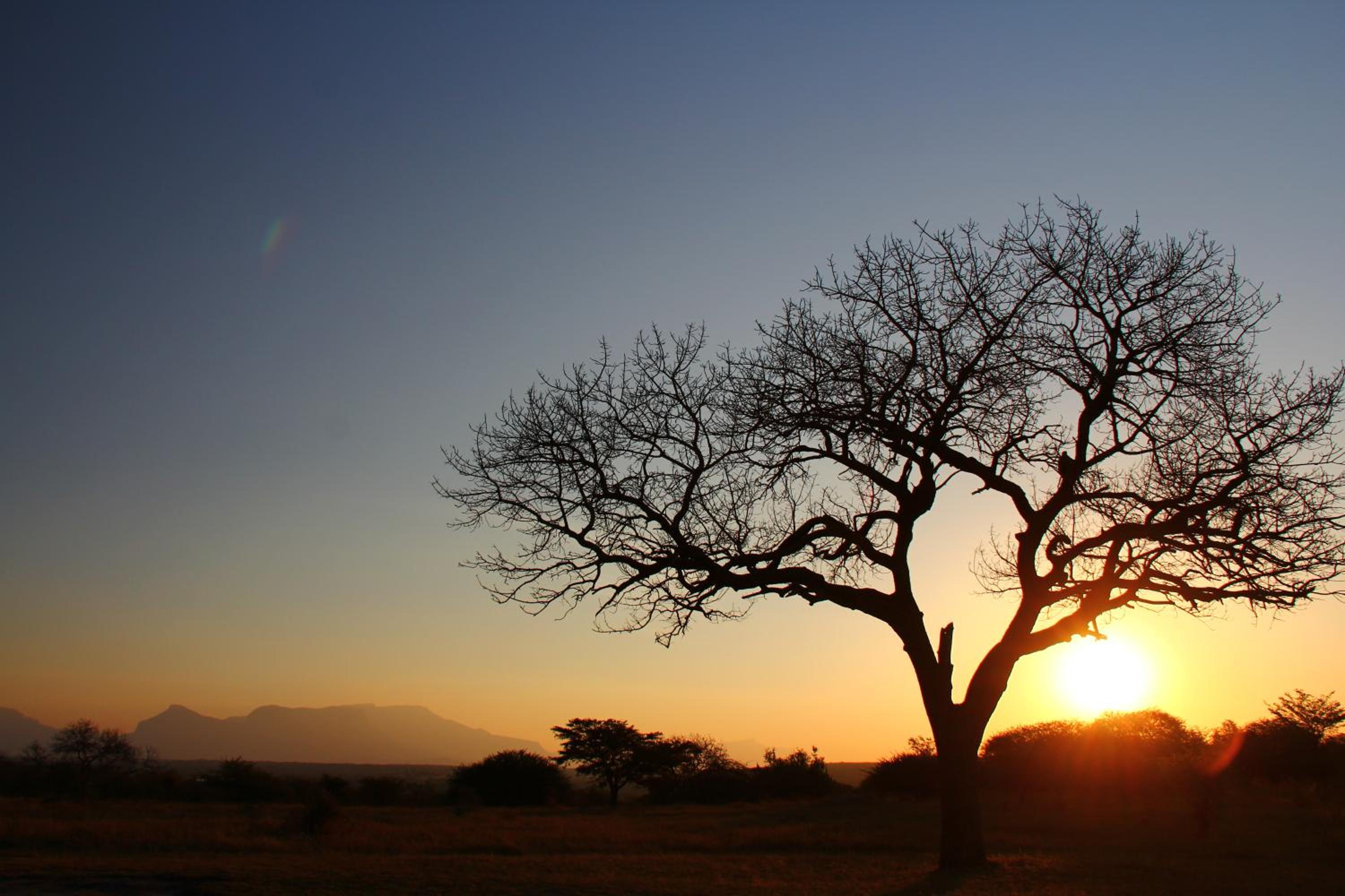 Thornhill Safari Lodge