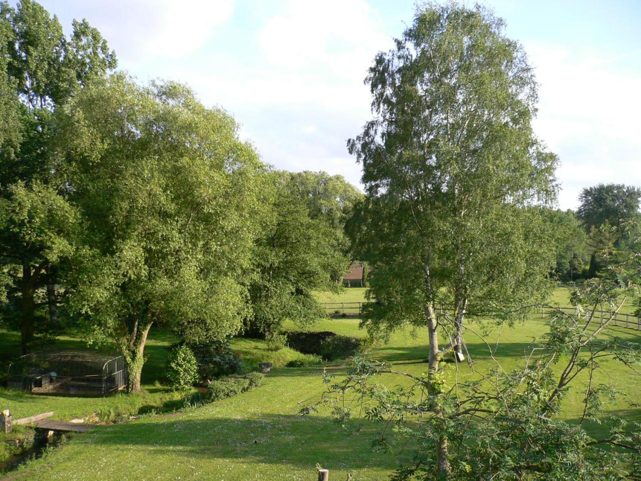 Photo 24