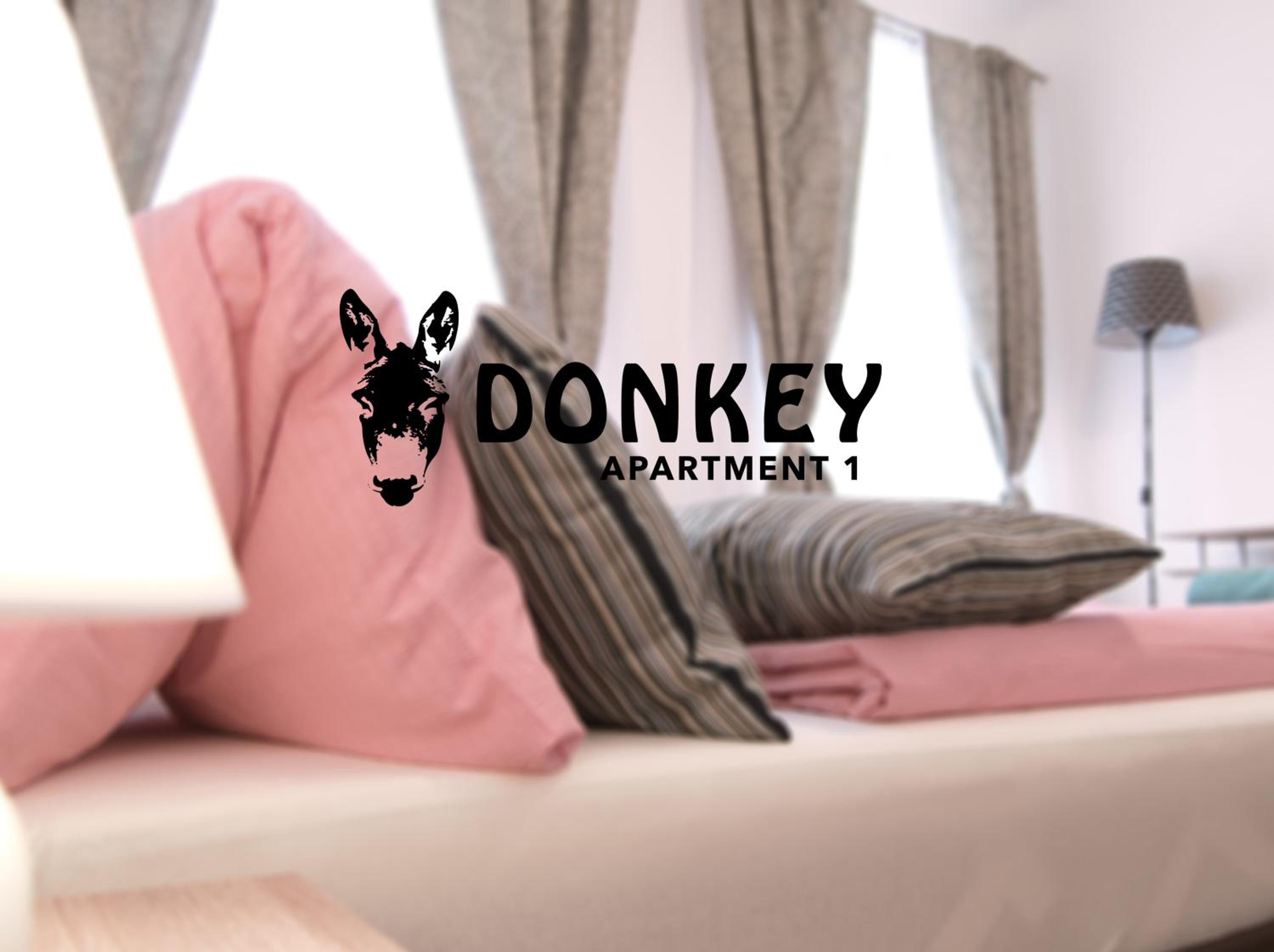 Donkey