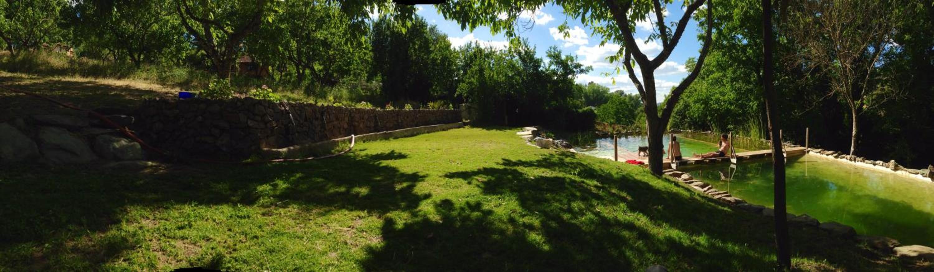Photo 20