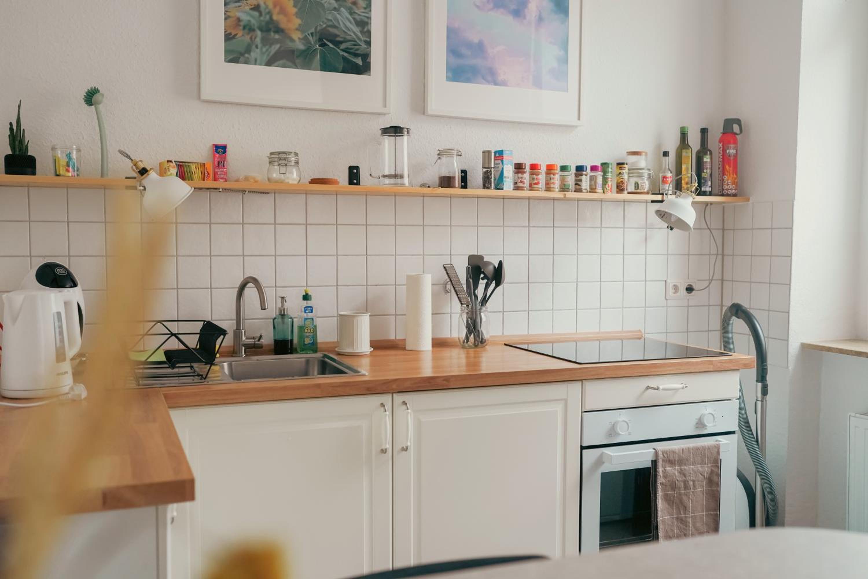 zentrale, gemütliche Wohnung in Dresden