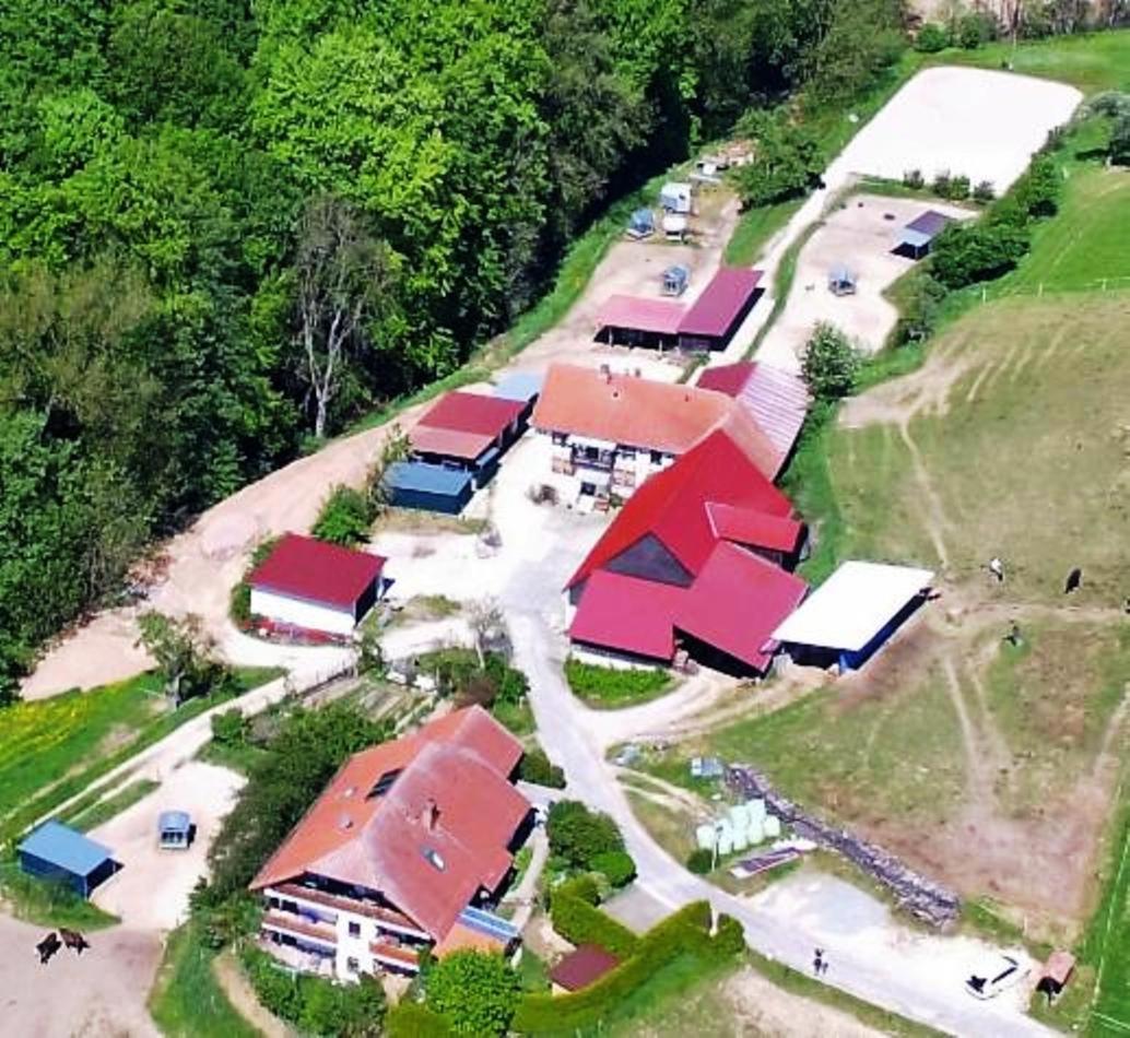 Pferdehof Dörsam