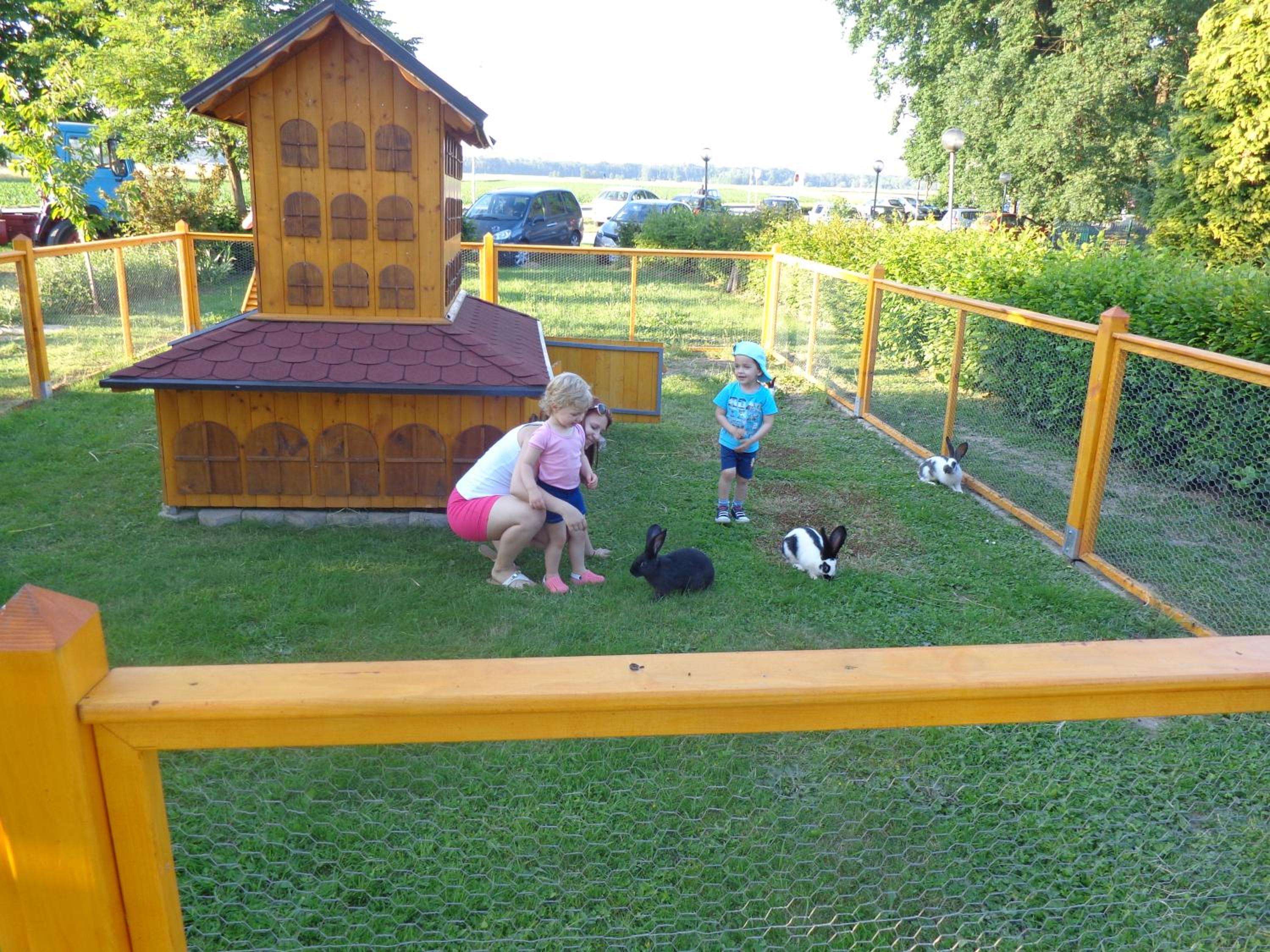 Tourist Farm Šalamun view 3