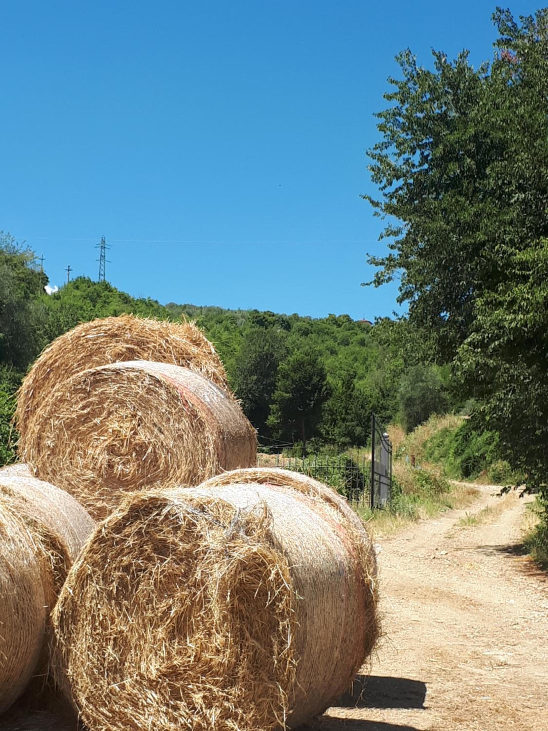 Fattoria Il Milione Agriturismo